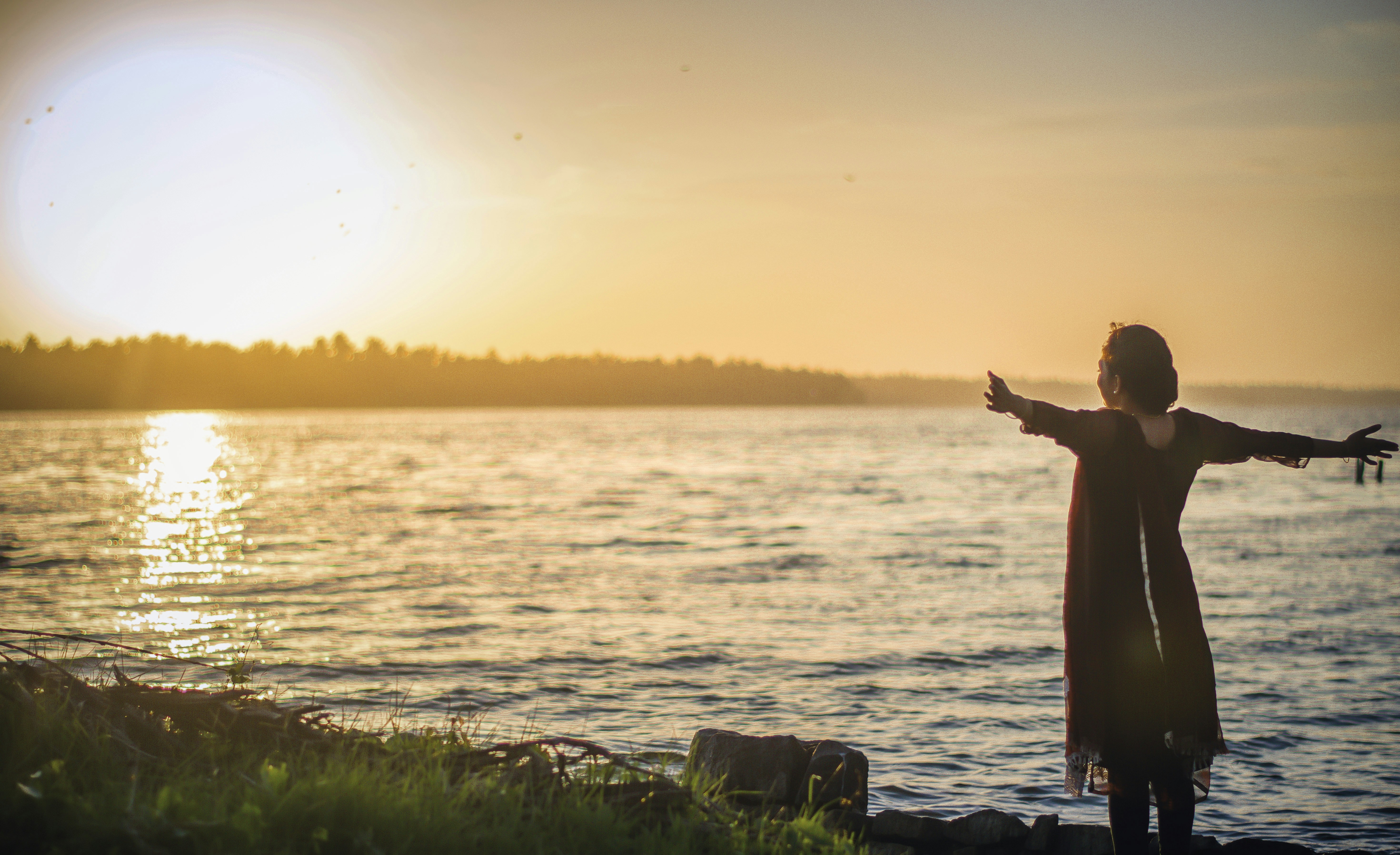 Free Unsplash photo from Praveesh Palakeel