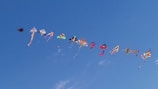 A group of colorful kites in various shapes and sizes displayed together.