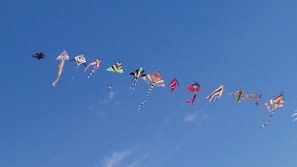 A group of colorful kites in various shapes and sizes displayed together.