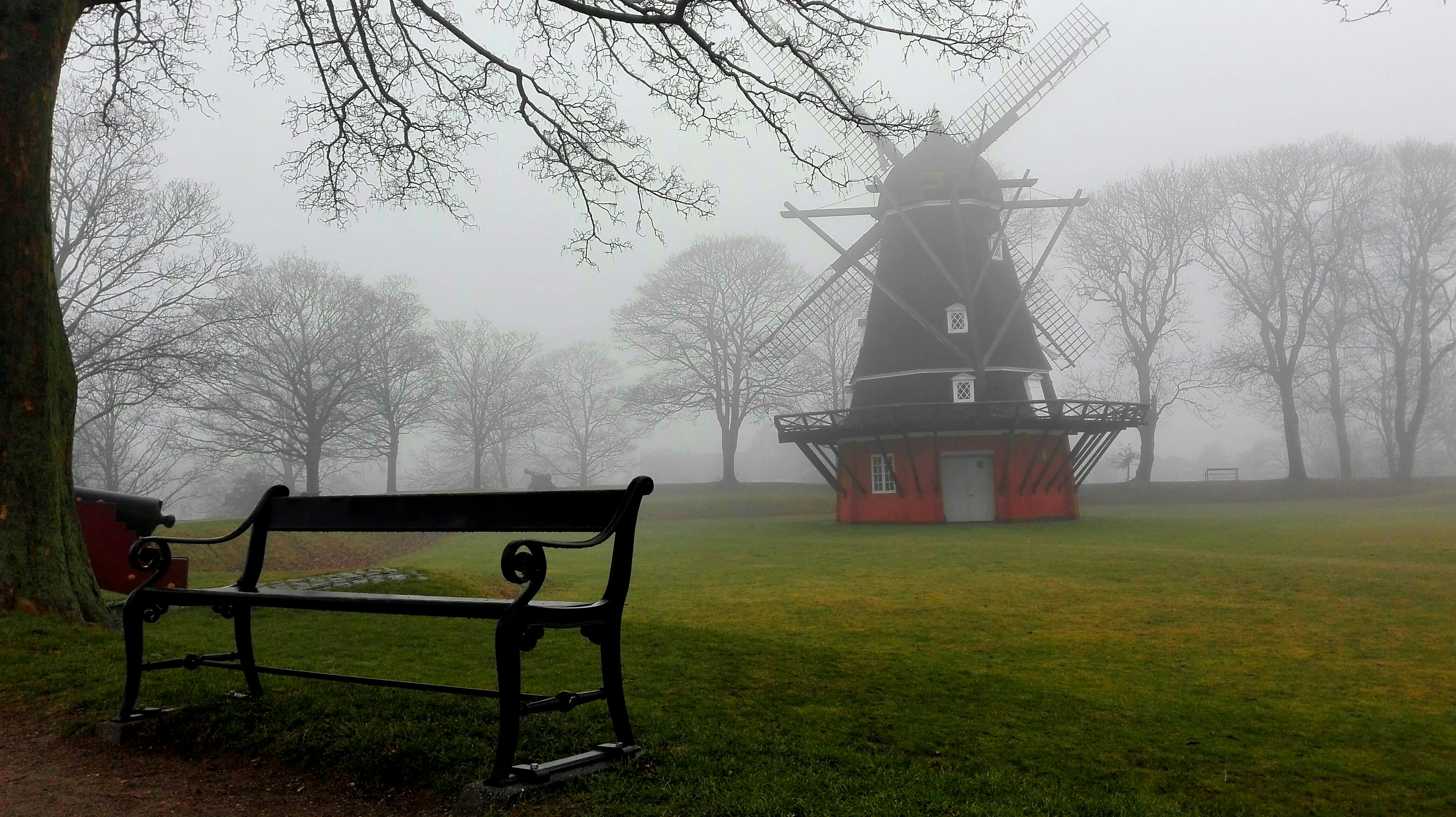 Free Unsplash photo from Roberto Adami