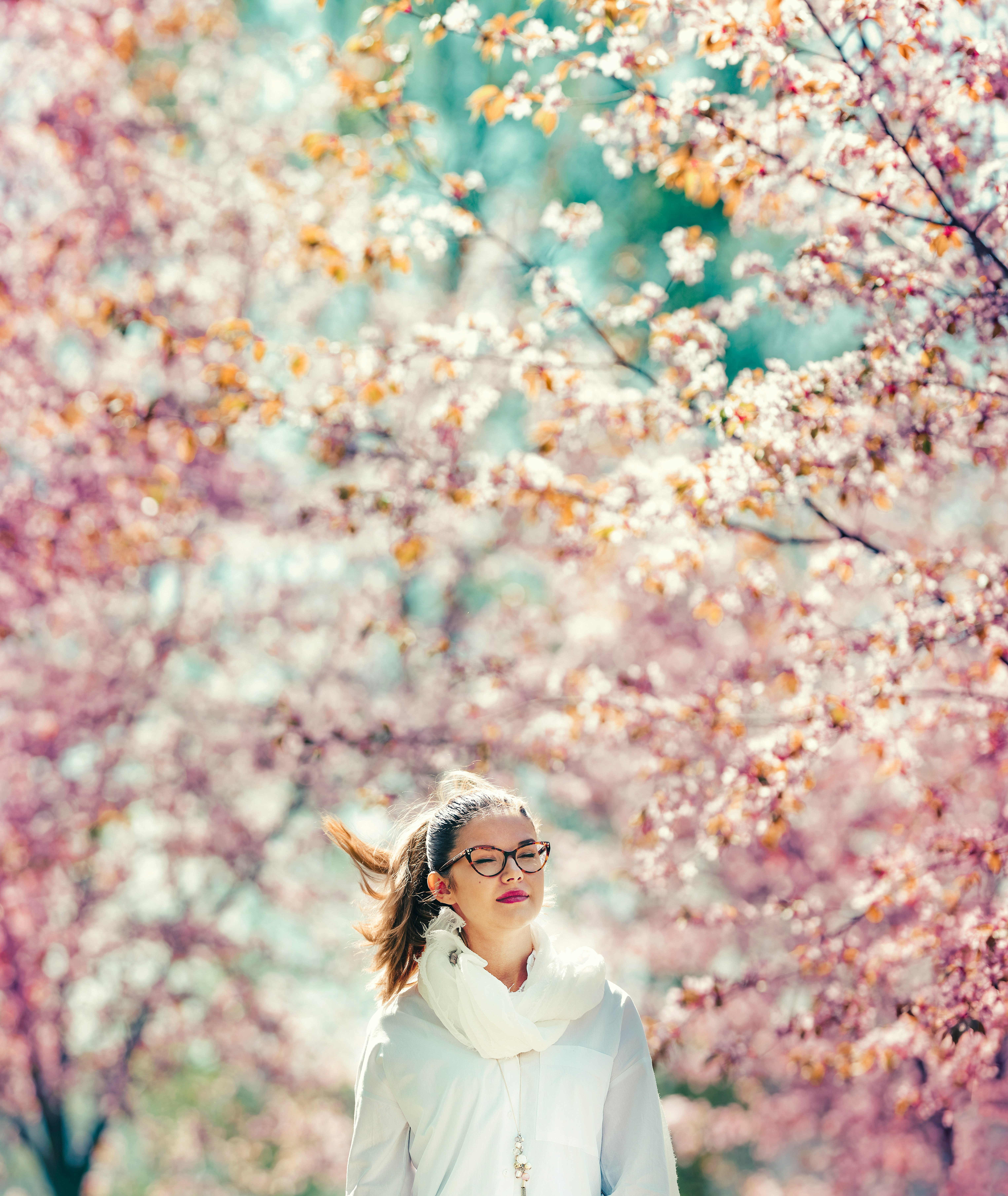 woman standing on pink cherry trees sorrounded area