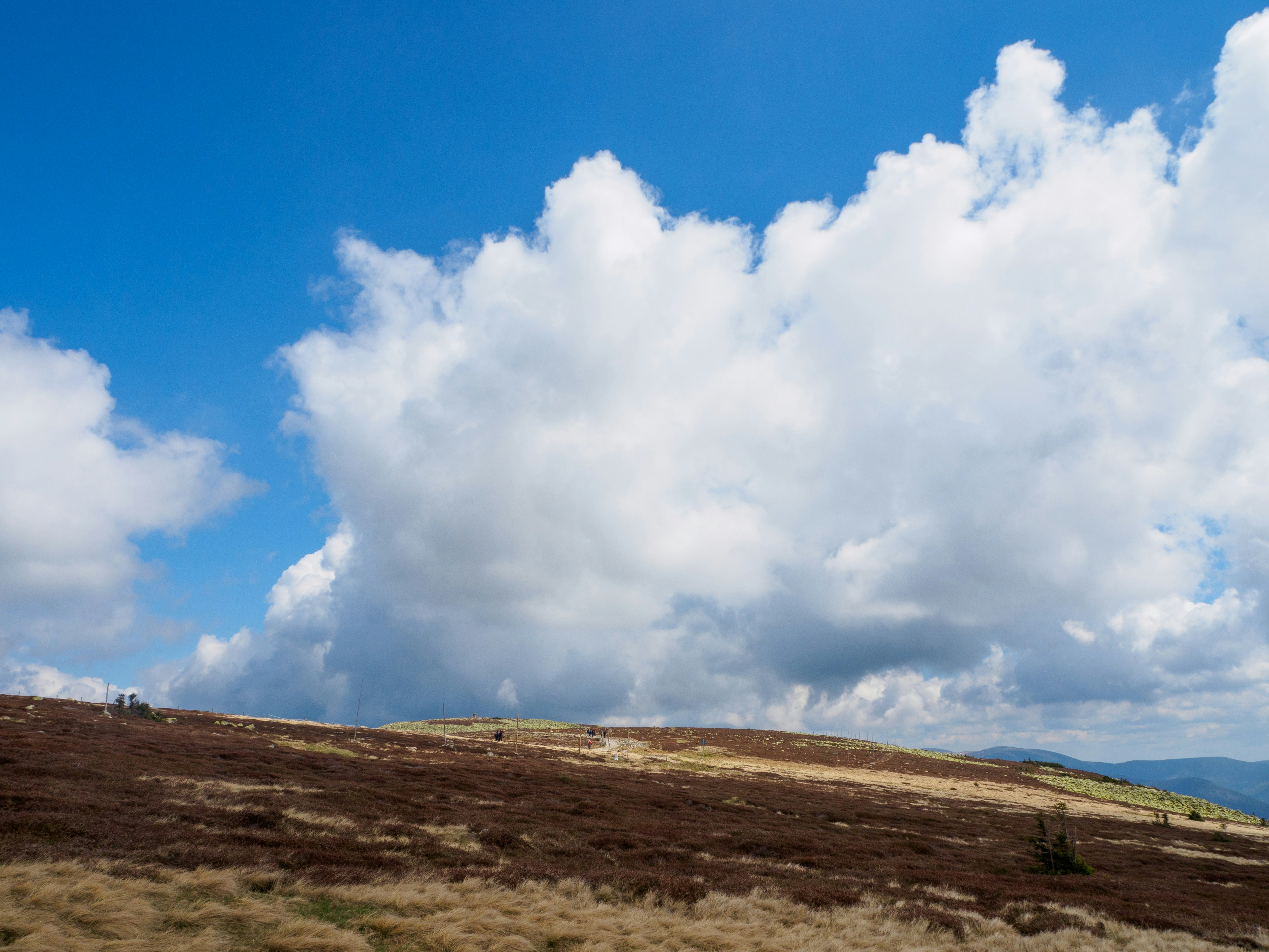 Free Unsplash photo from Salomon Popp