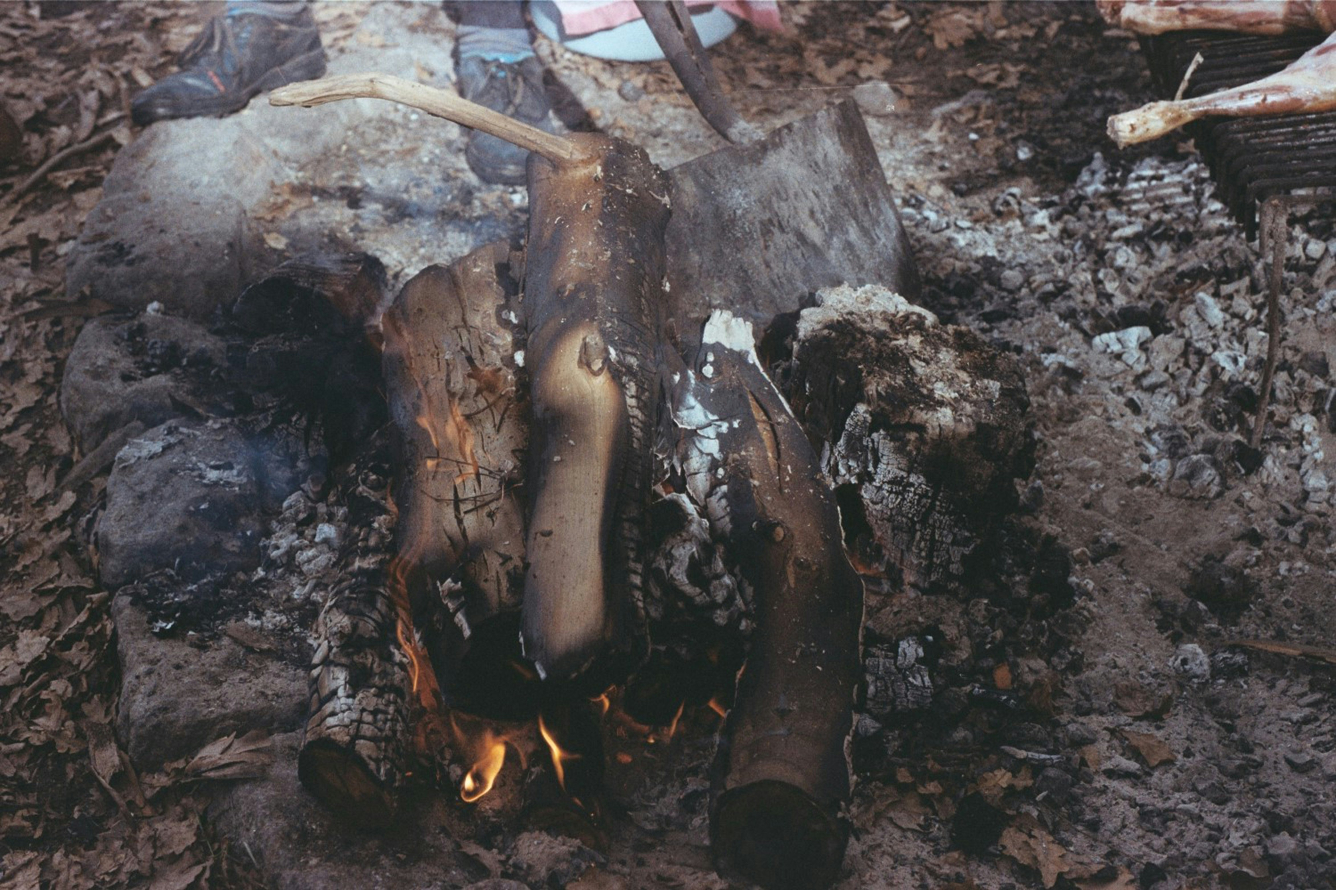 Free Unsplash photo from delfi de la Rua