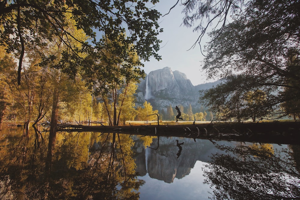 landscape photography of trees and lake