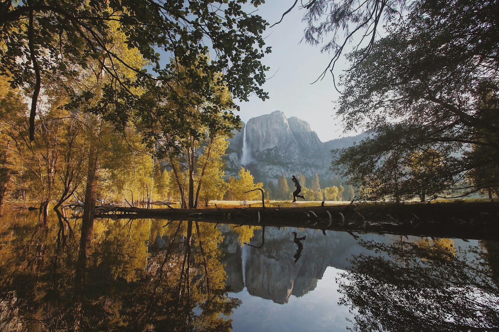 Canon EOS 7D Mark II + Canon EF-S 10-22mm F3.5-4.5 USM sample photo. Landscape photography of trees photography