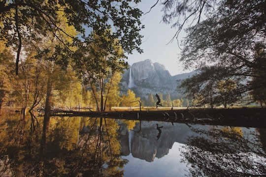 landscape photography of trees and lake in Yosemite Valley United States