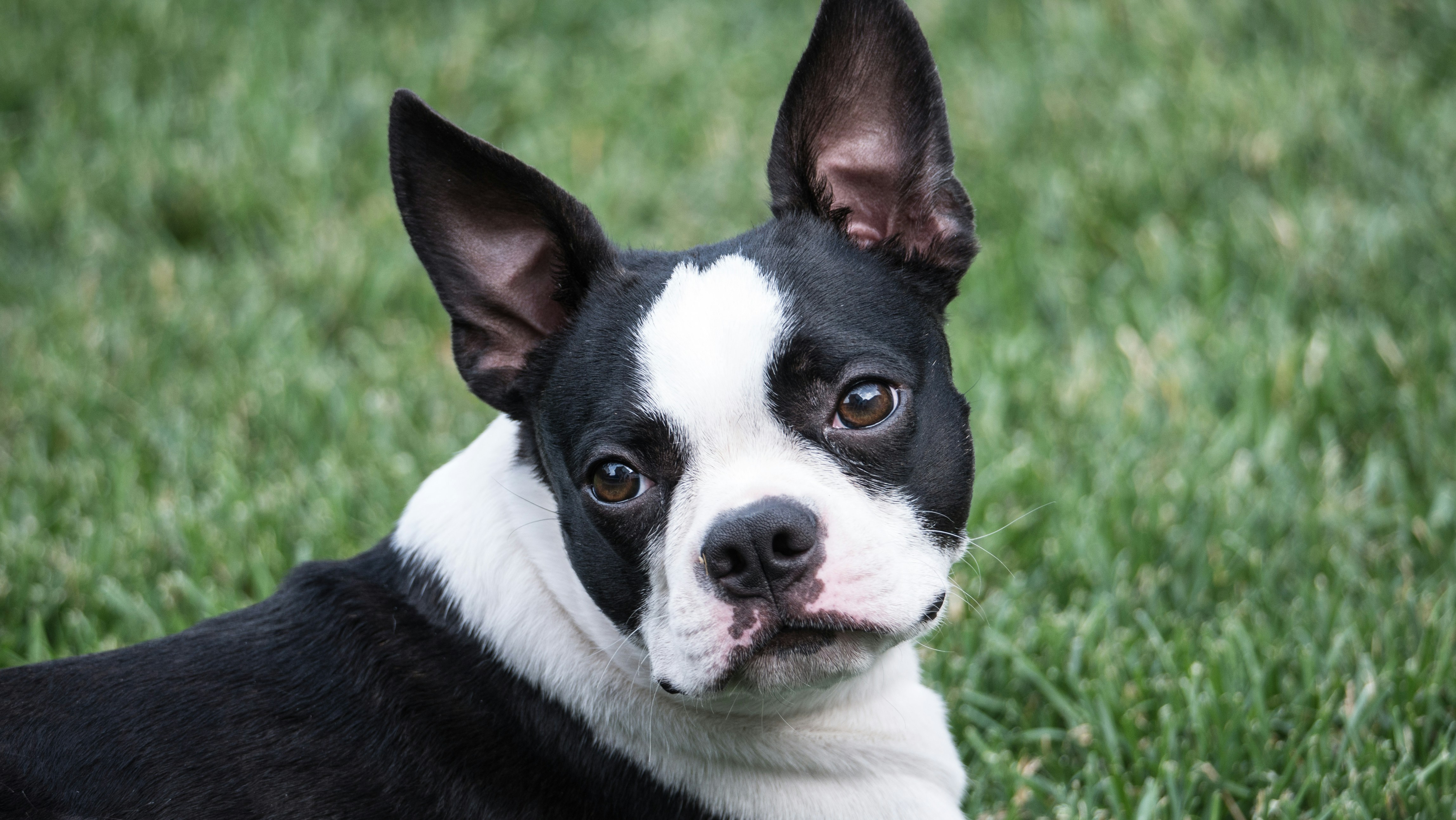 Free Unsplash photo from Jean Dion