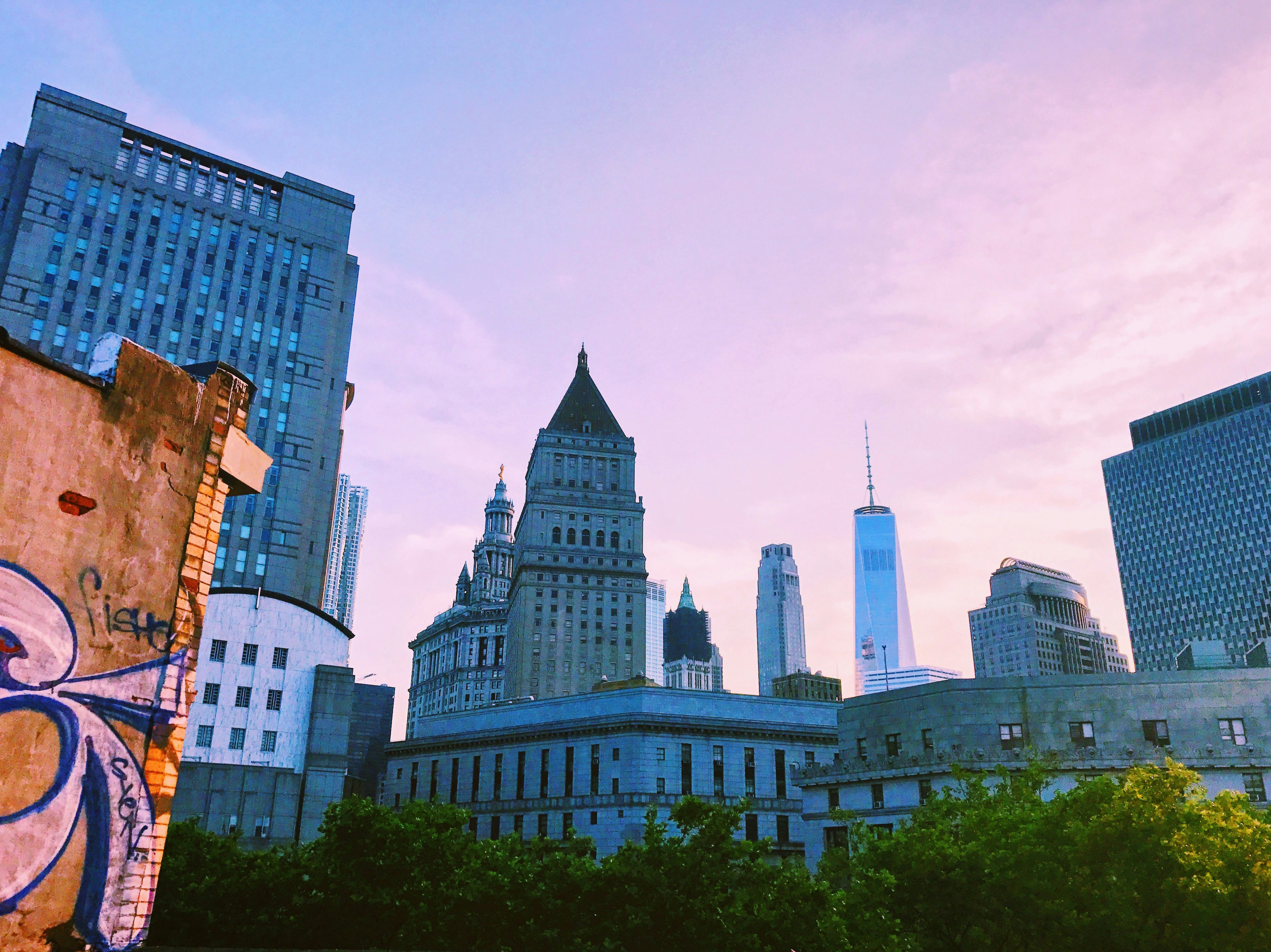 Free Unsplash photo from Becky Phan