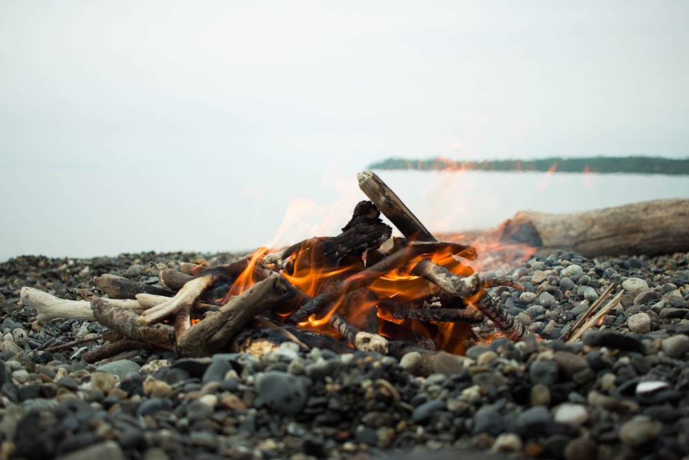 brunir le bois de chauffage sur le rivage rocheux gris pendant la journée