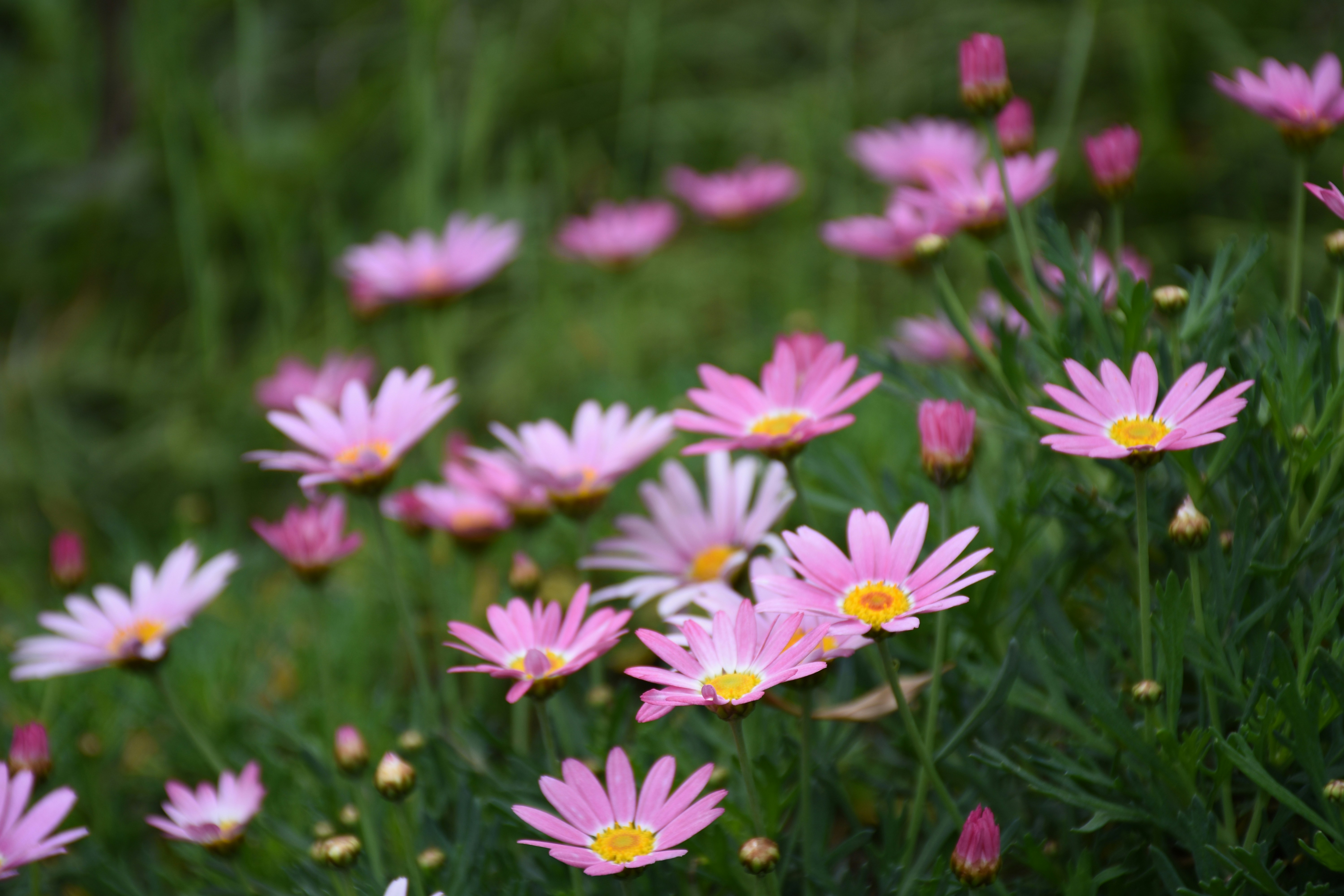 Free Unsplash photo from CC 张