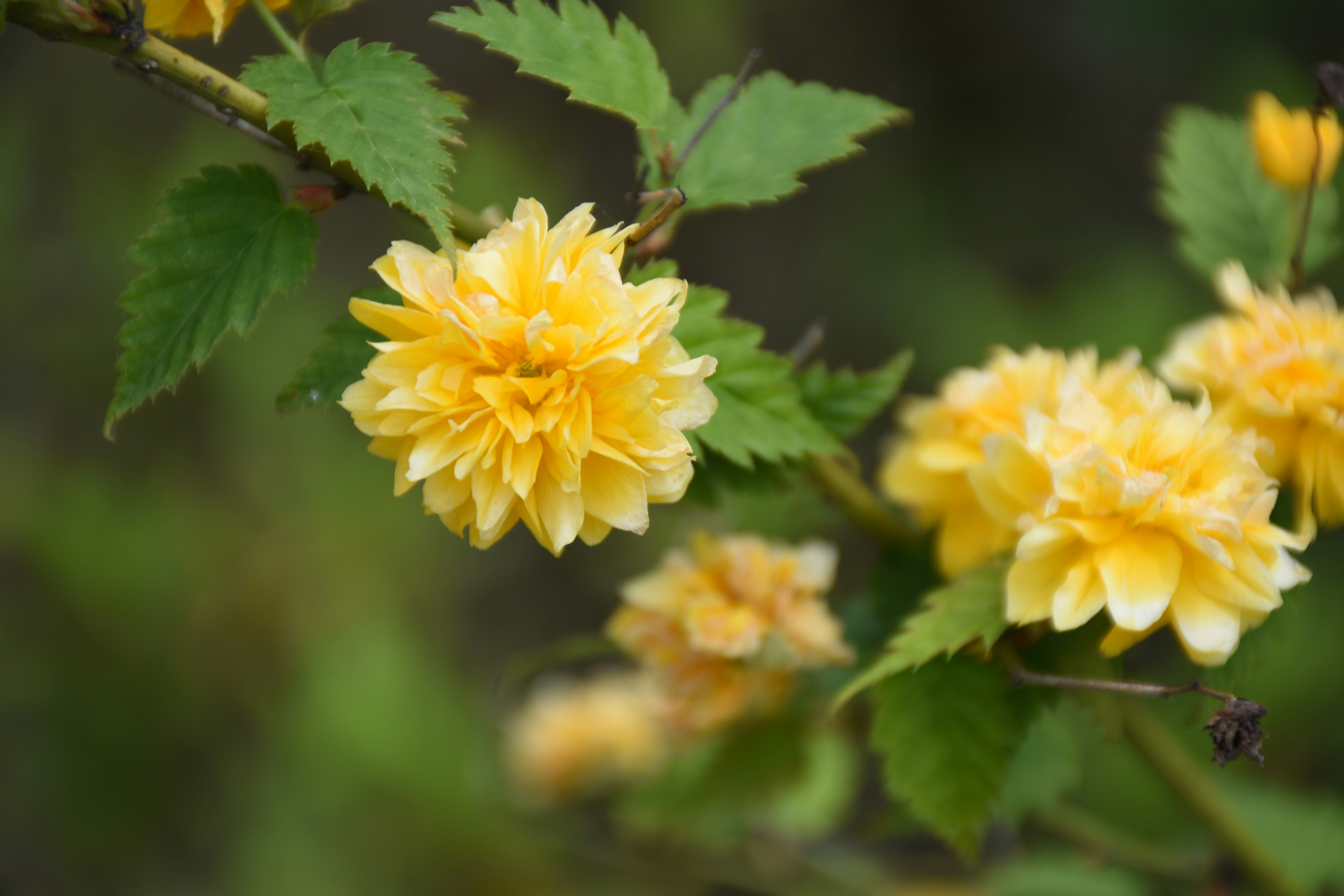 Free Unsplash photo from CC 张