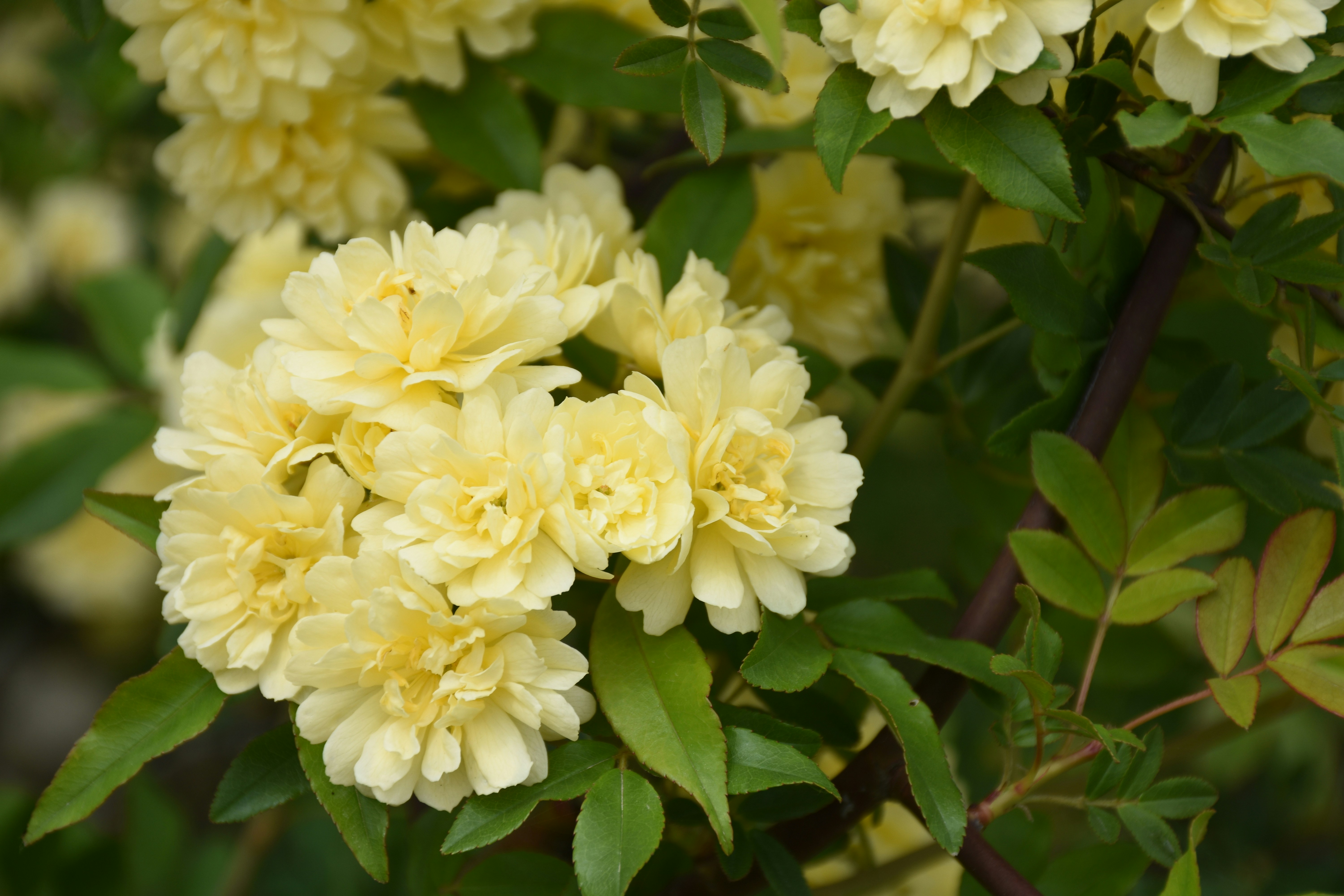 Free Unsplash photo from CC 张