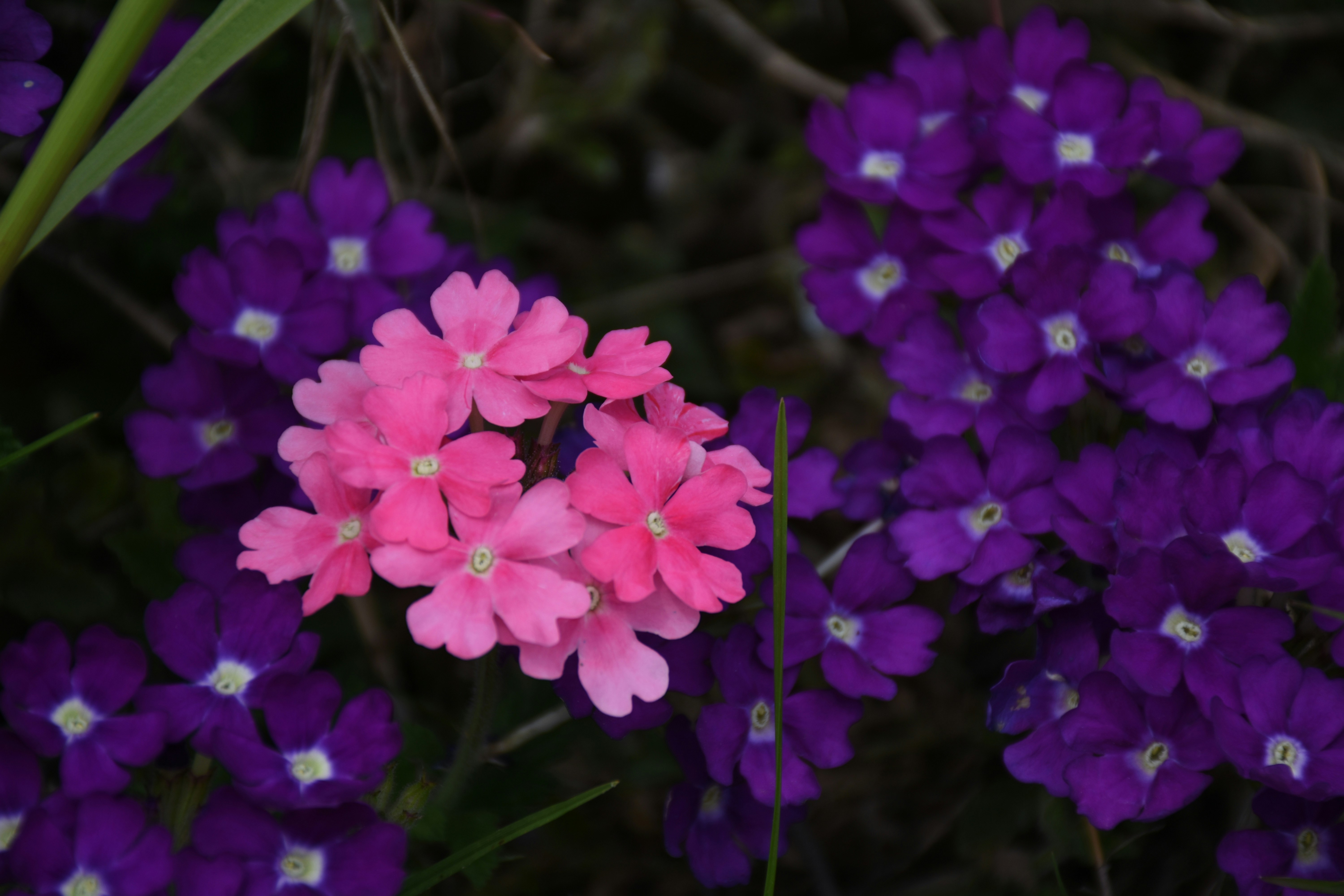 Free Unsplash photo from CC 张