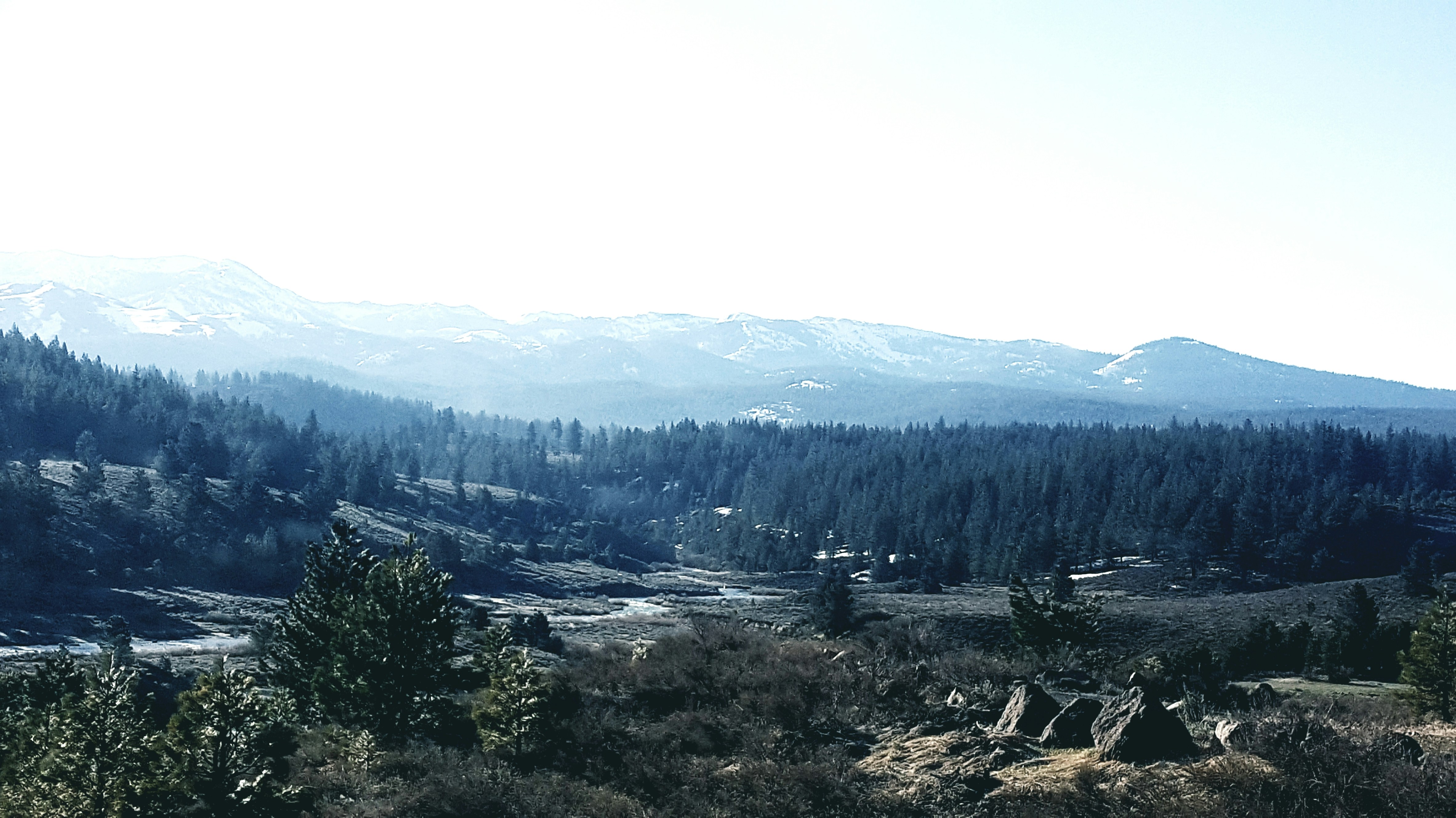 Free Unsplash photo from Andrew Grace