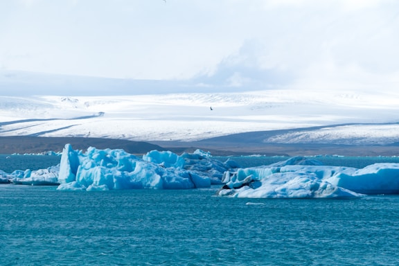 A stunning view of a polar landscape with icebergs and a clear blue sky.