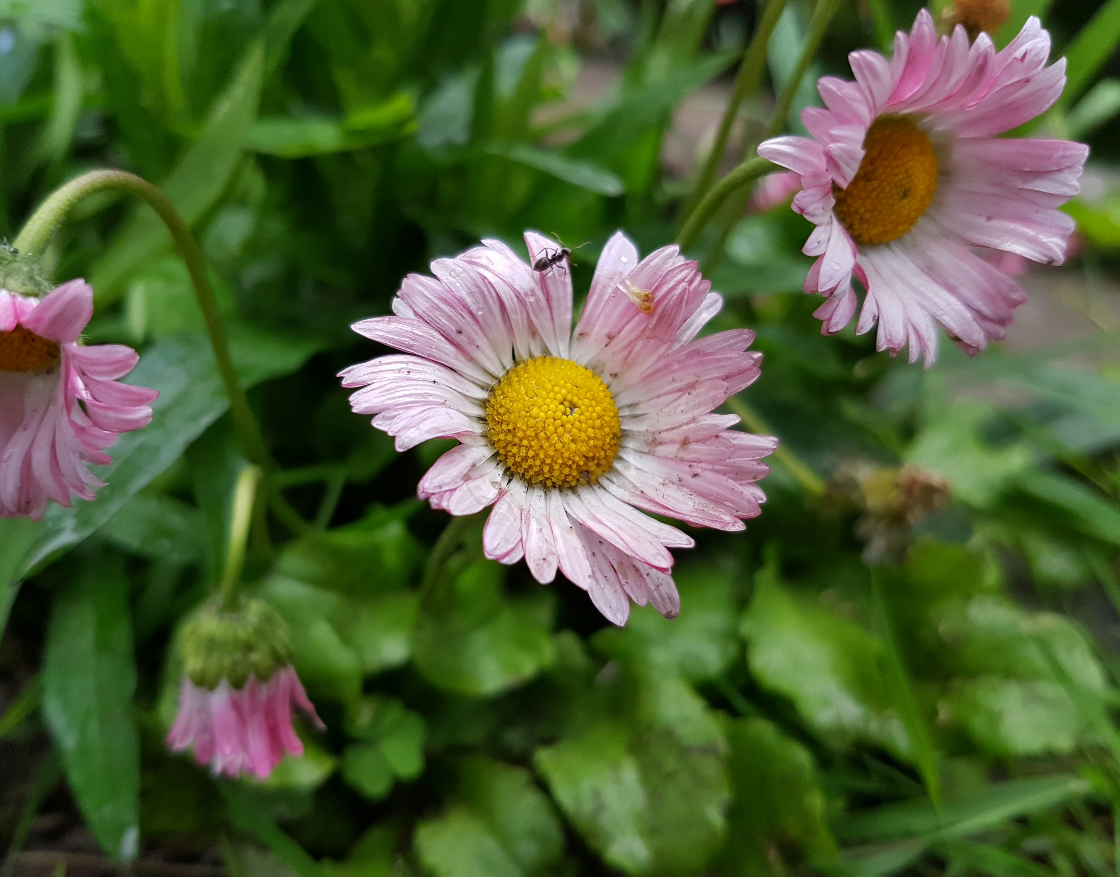 Free Unsplash photo from Рома Дрюцкий