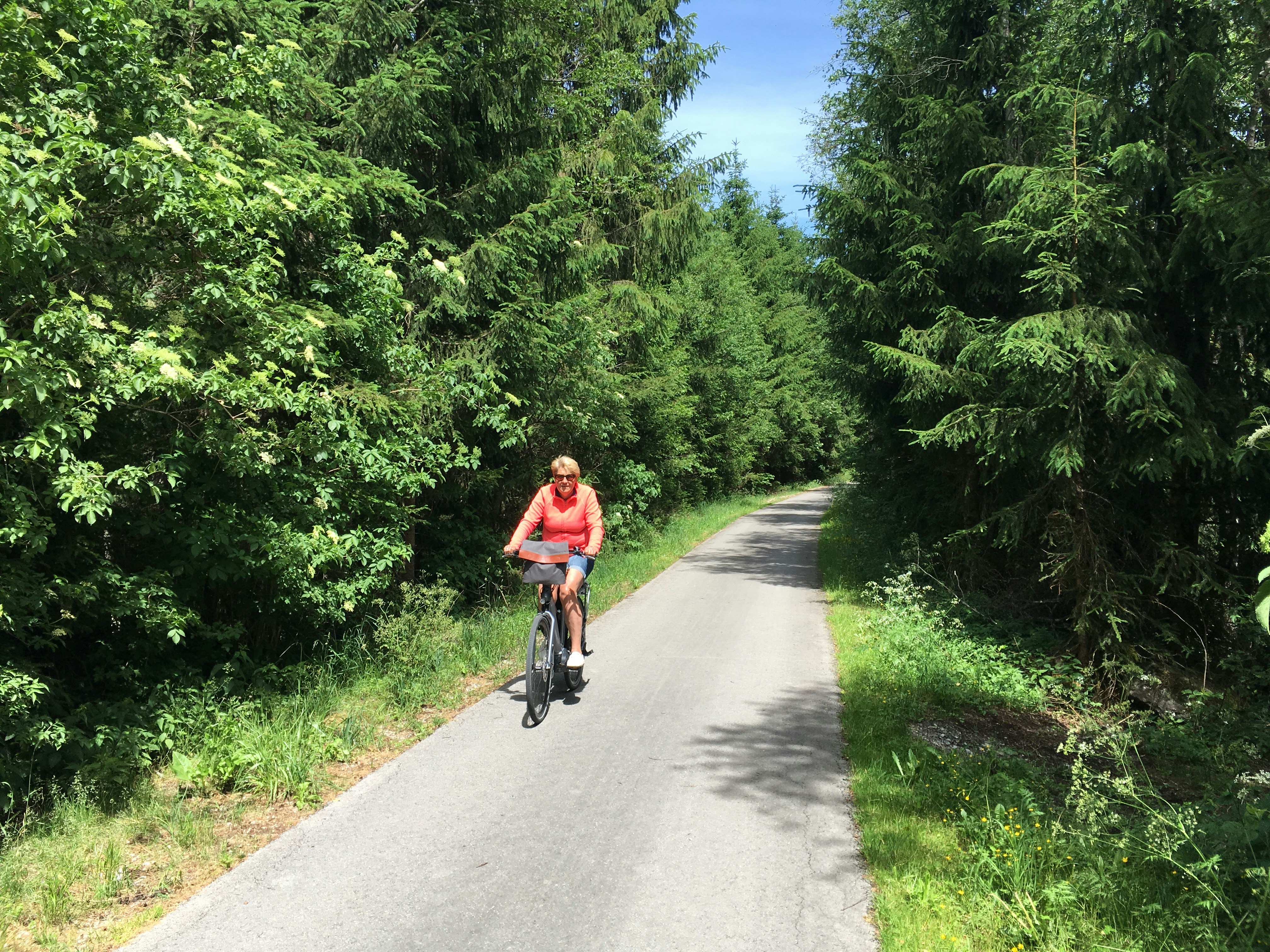 Free Unsplash photo from Femmie Lodewijk