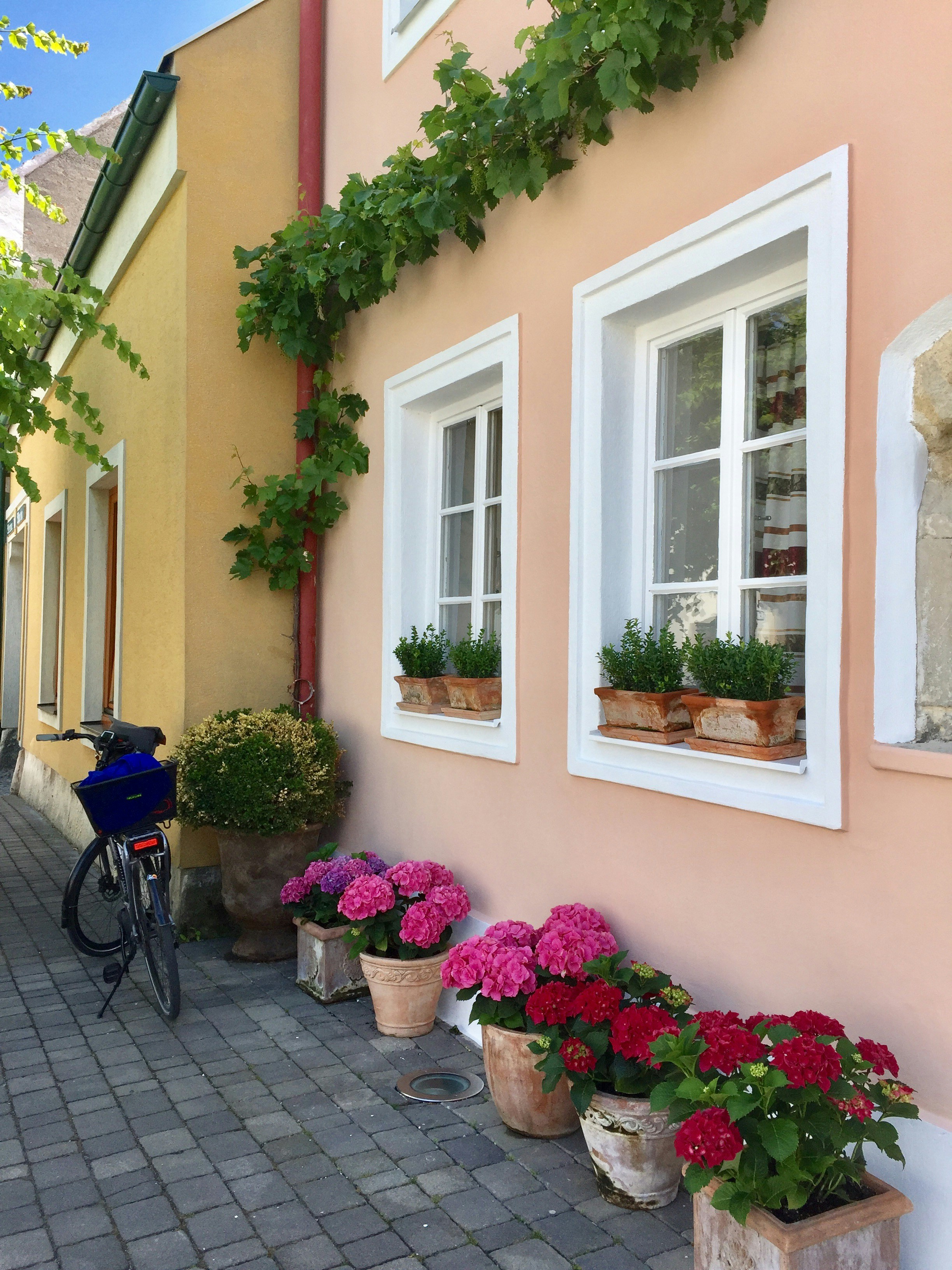 Free Unsplash photo from Femmie Lodewijk