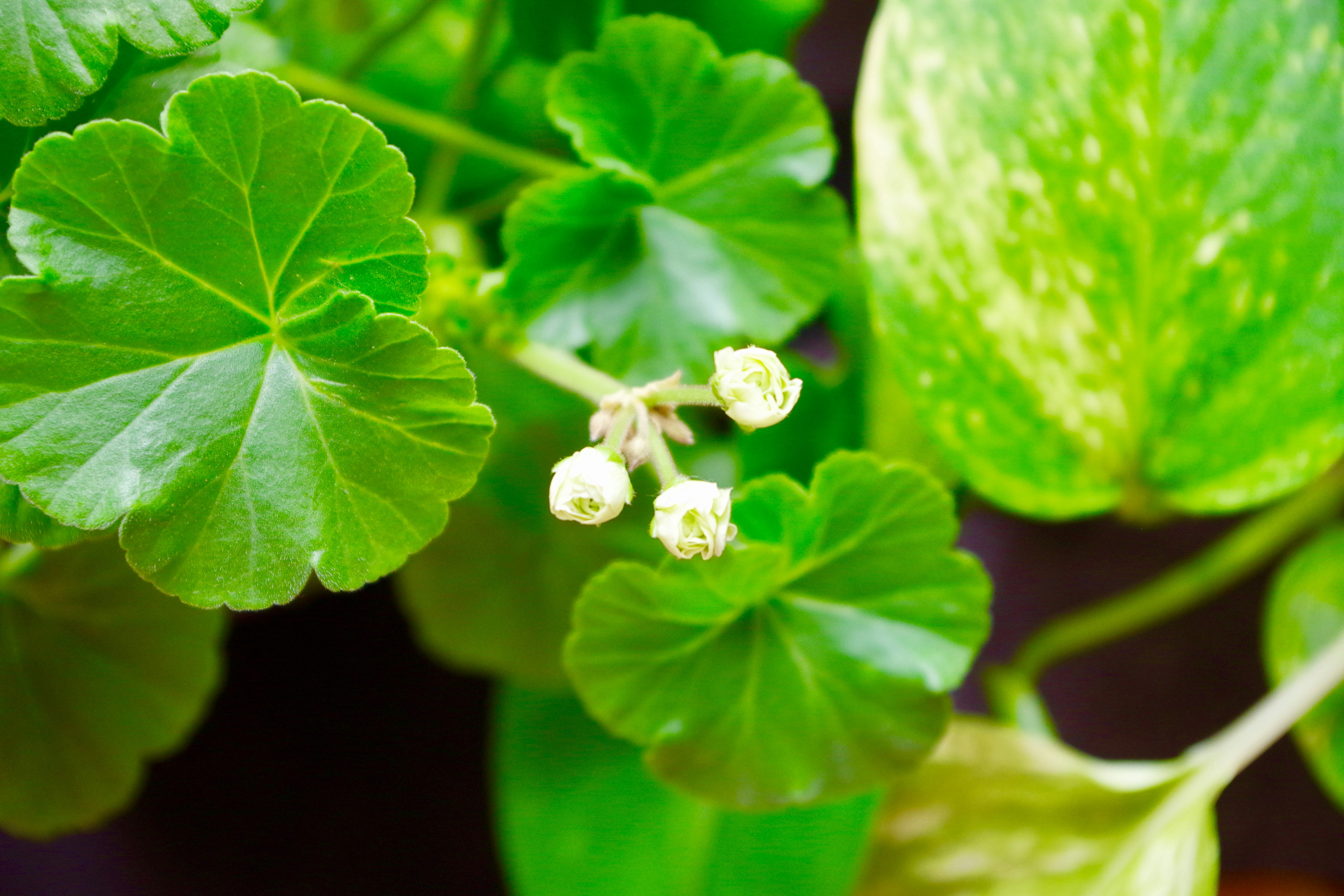 Free Unsplash photo from Mayu Yamamura