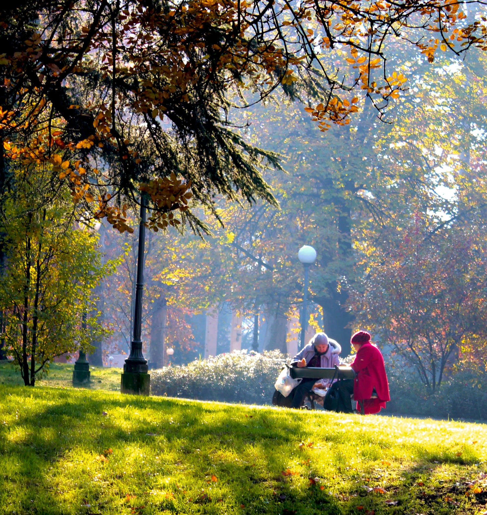 Free Unsplash photo from Michele Guan