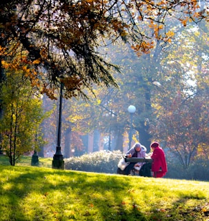 A warm, inviting photo of mature couples enjoying a cozy conversation in a park.