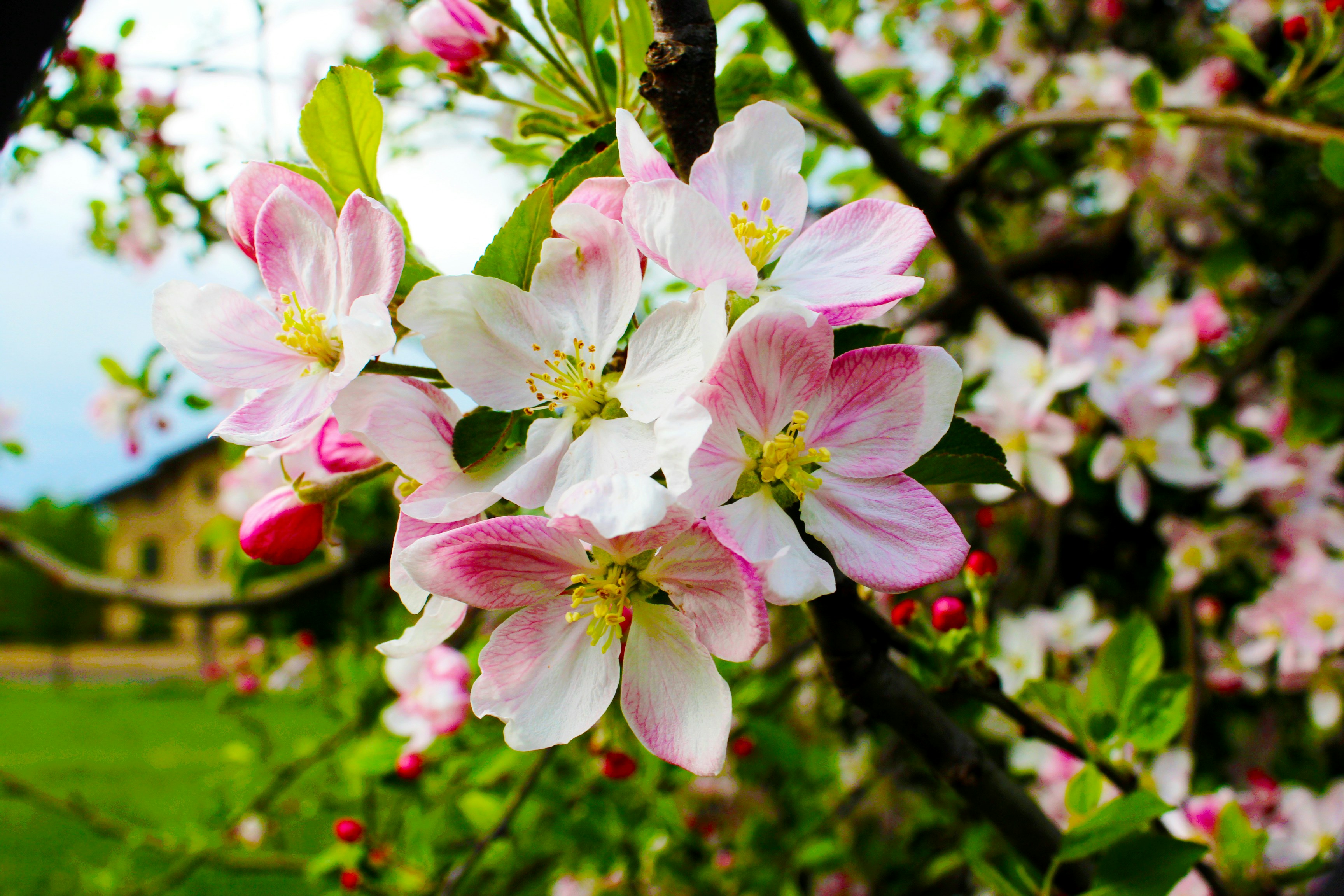 Free Unsplash photo from Michele Guan