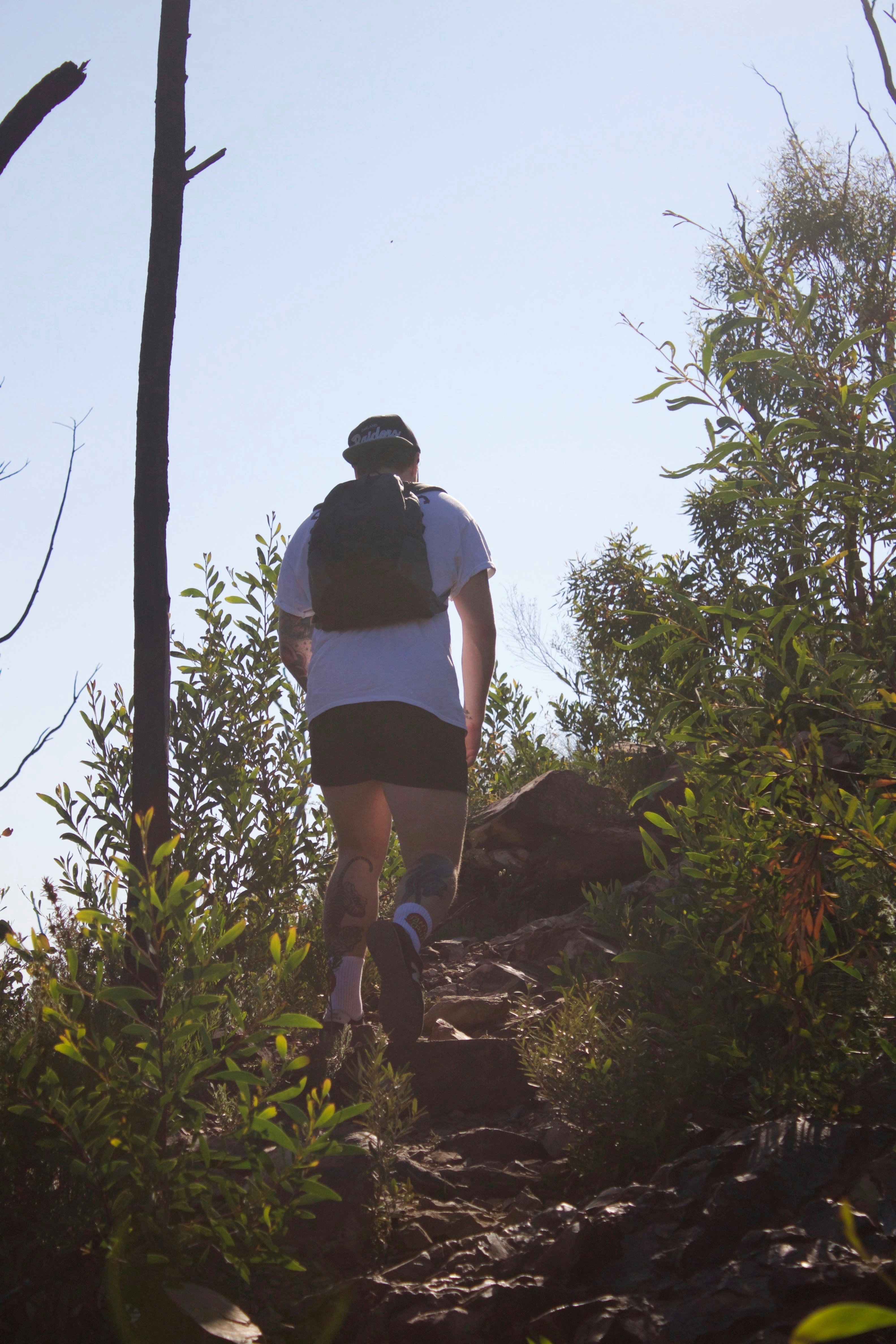 Free Unsplash photo from Jack McGrath