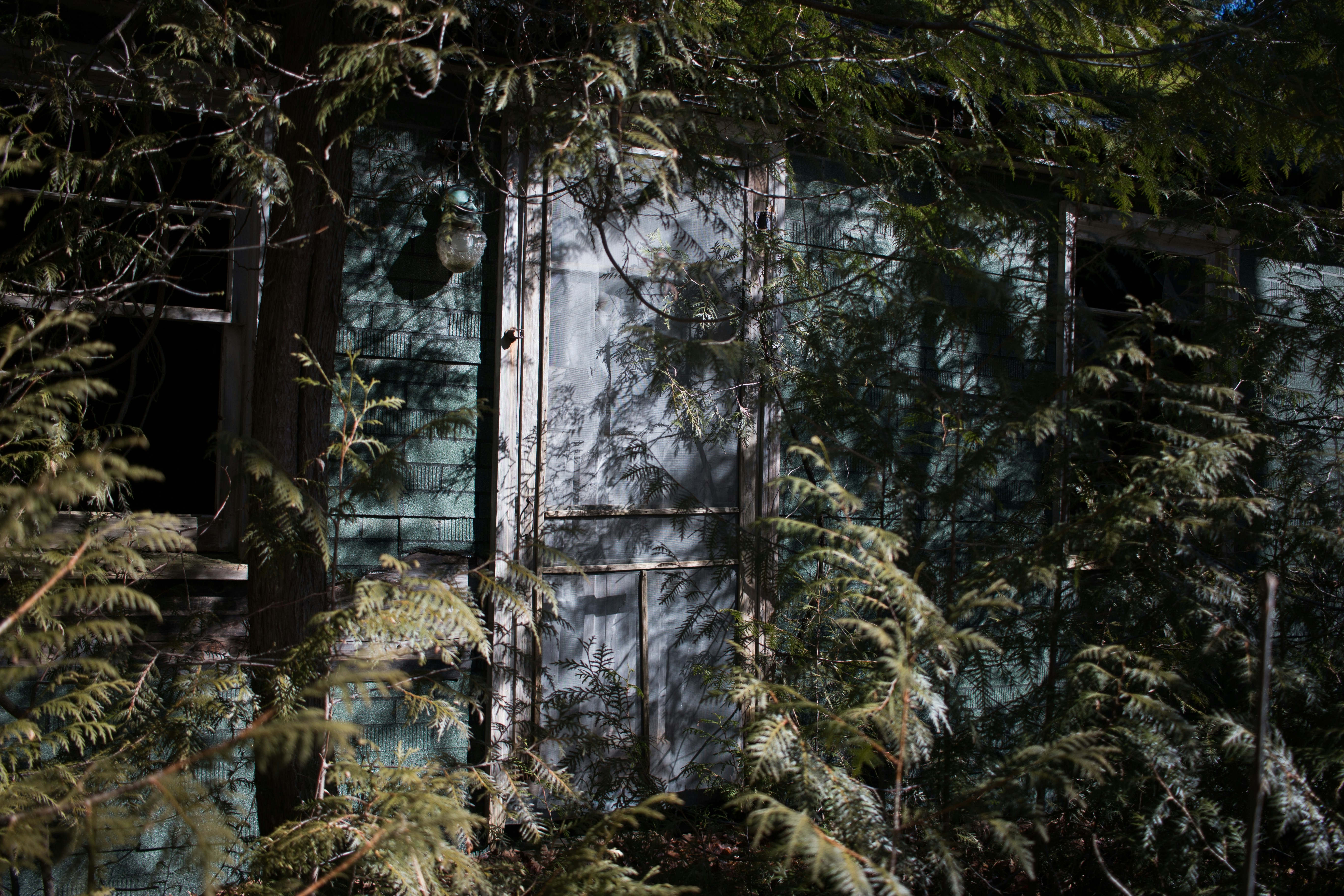 Free Unsplash photo from Dylan McLeod