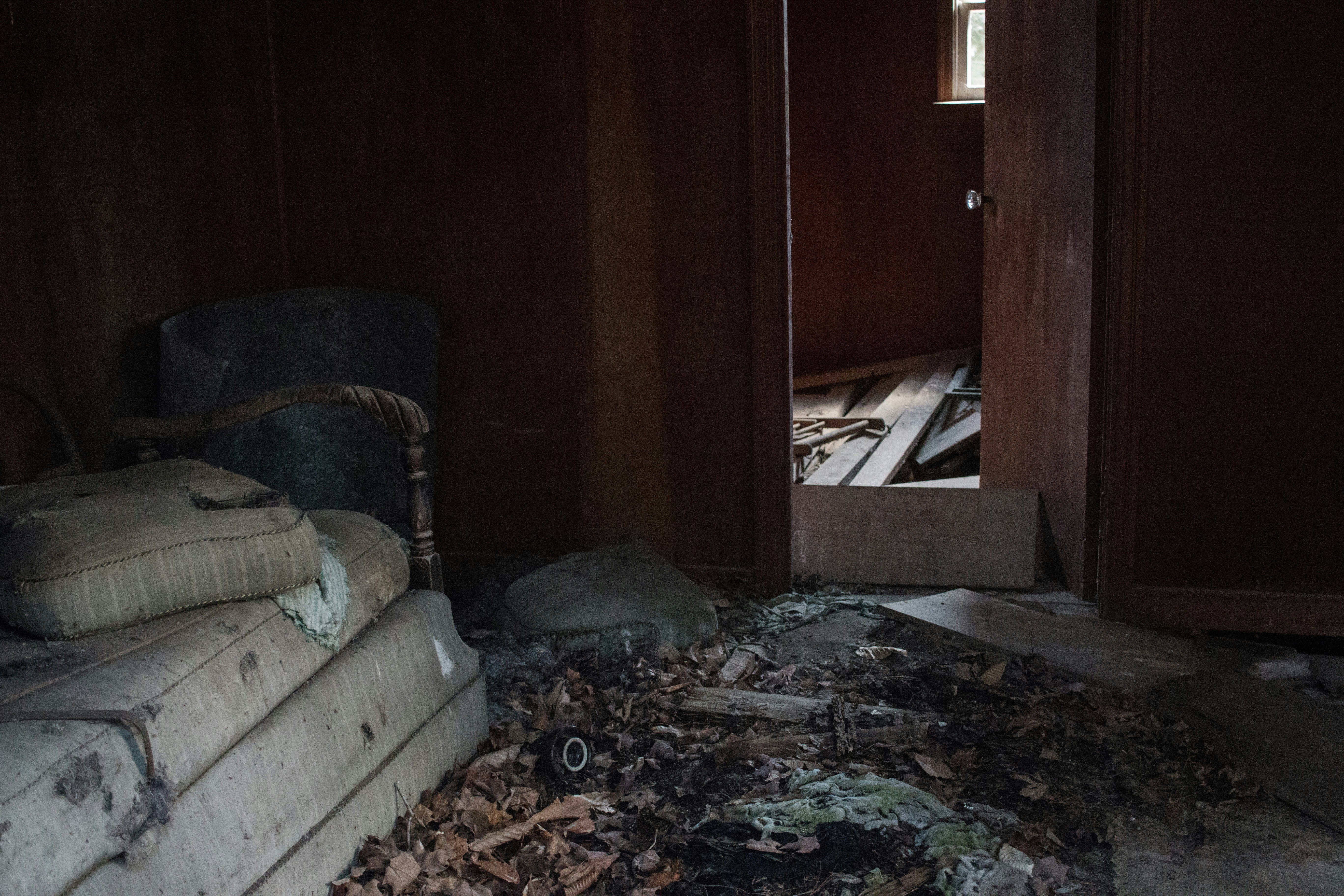 Free Unsplash photo from Dylan McLeod