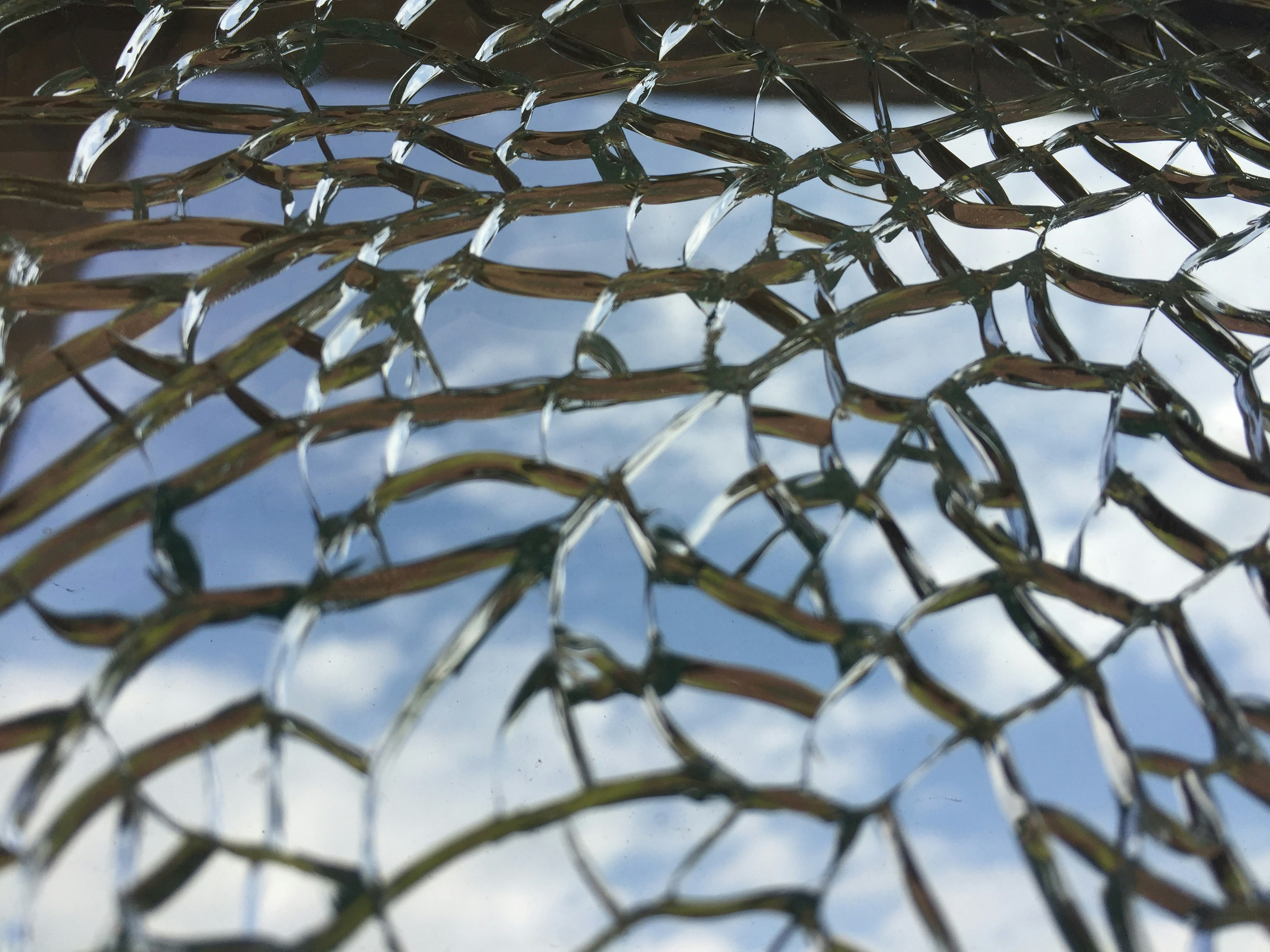 photo-1497885722391-57a5d08d457d?ixlib=rb-1.2.1&ixid=eyJhcHBfaWQiOjEyMDd9&auto=format&fit=crop&w=1334&q=80