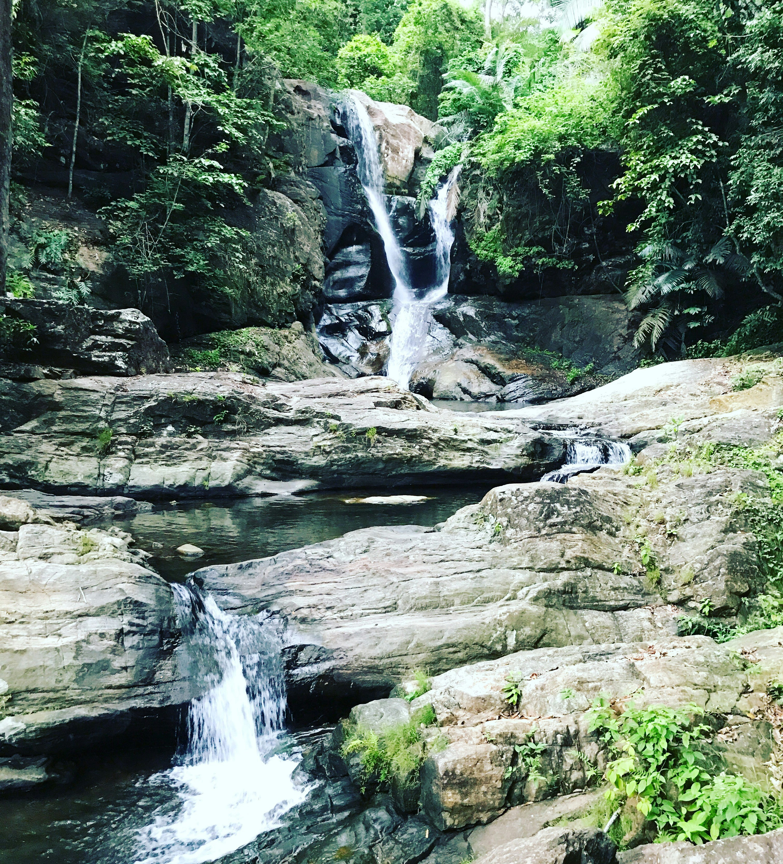 Free Unsplash photo from cliff patric