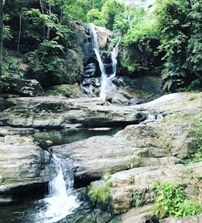 A serene setting featuring natural beauty products surrounded by greenery.