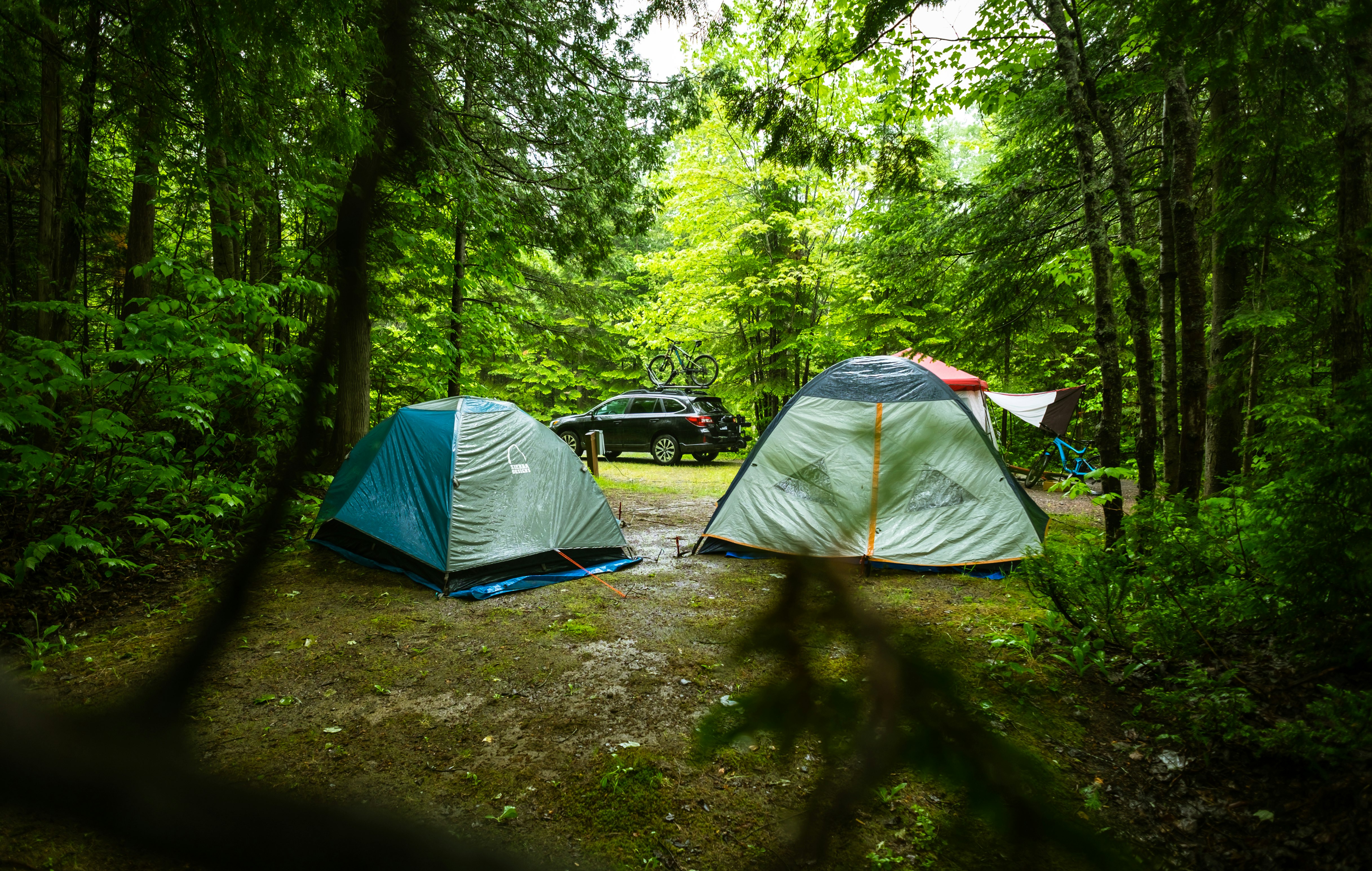 two dome tents surrounded by trees