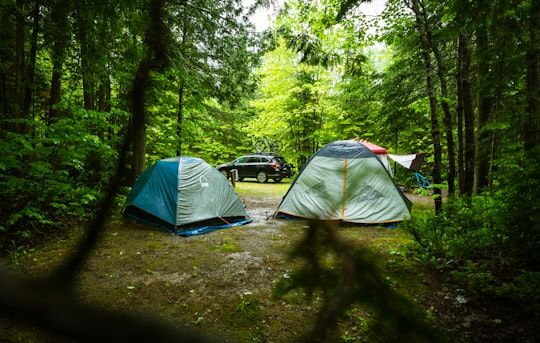 two dome tents surrounded by trees in Sugarloaf Provincial Park Canada