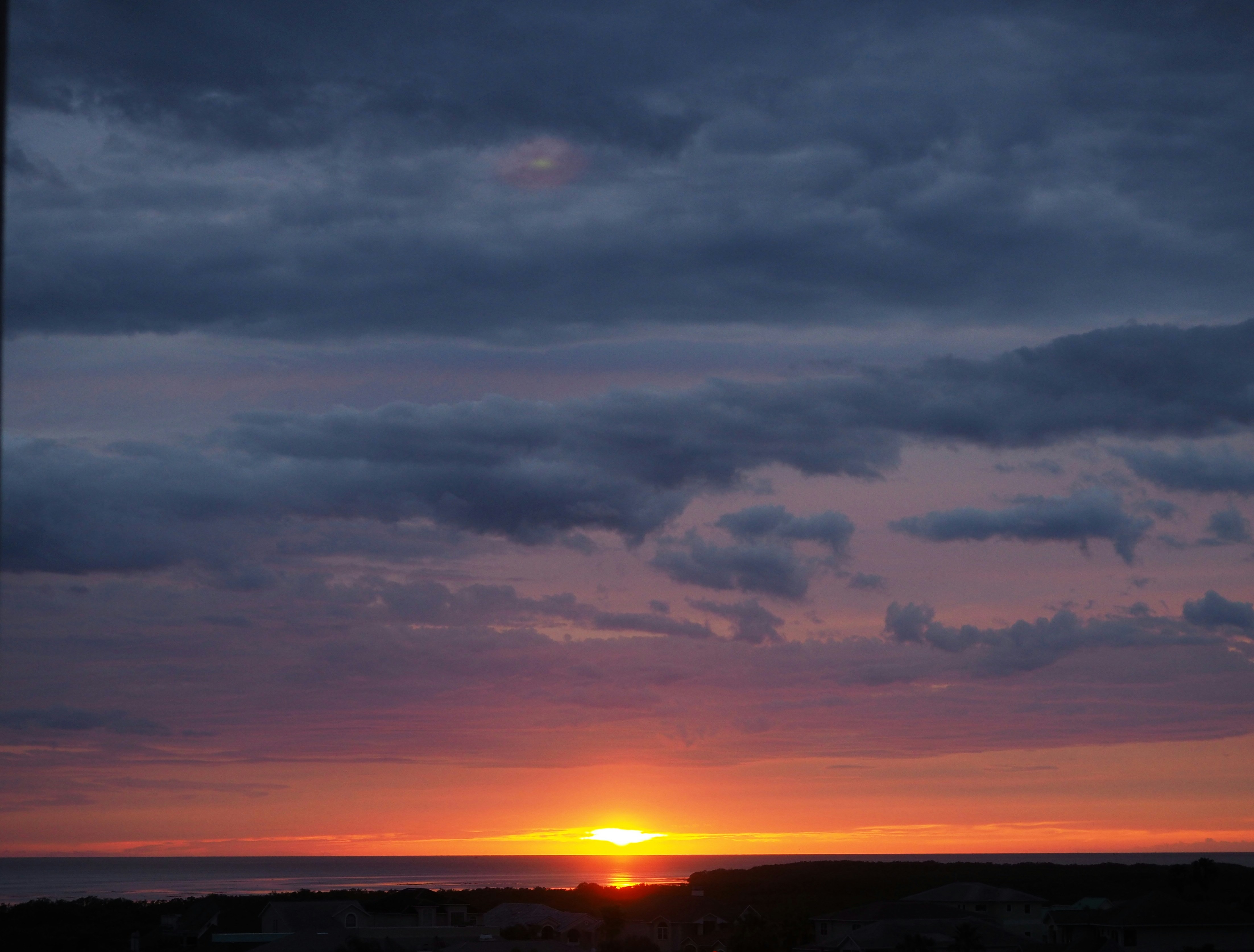 Free Unsplash photo from Patricia Collins