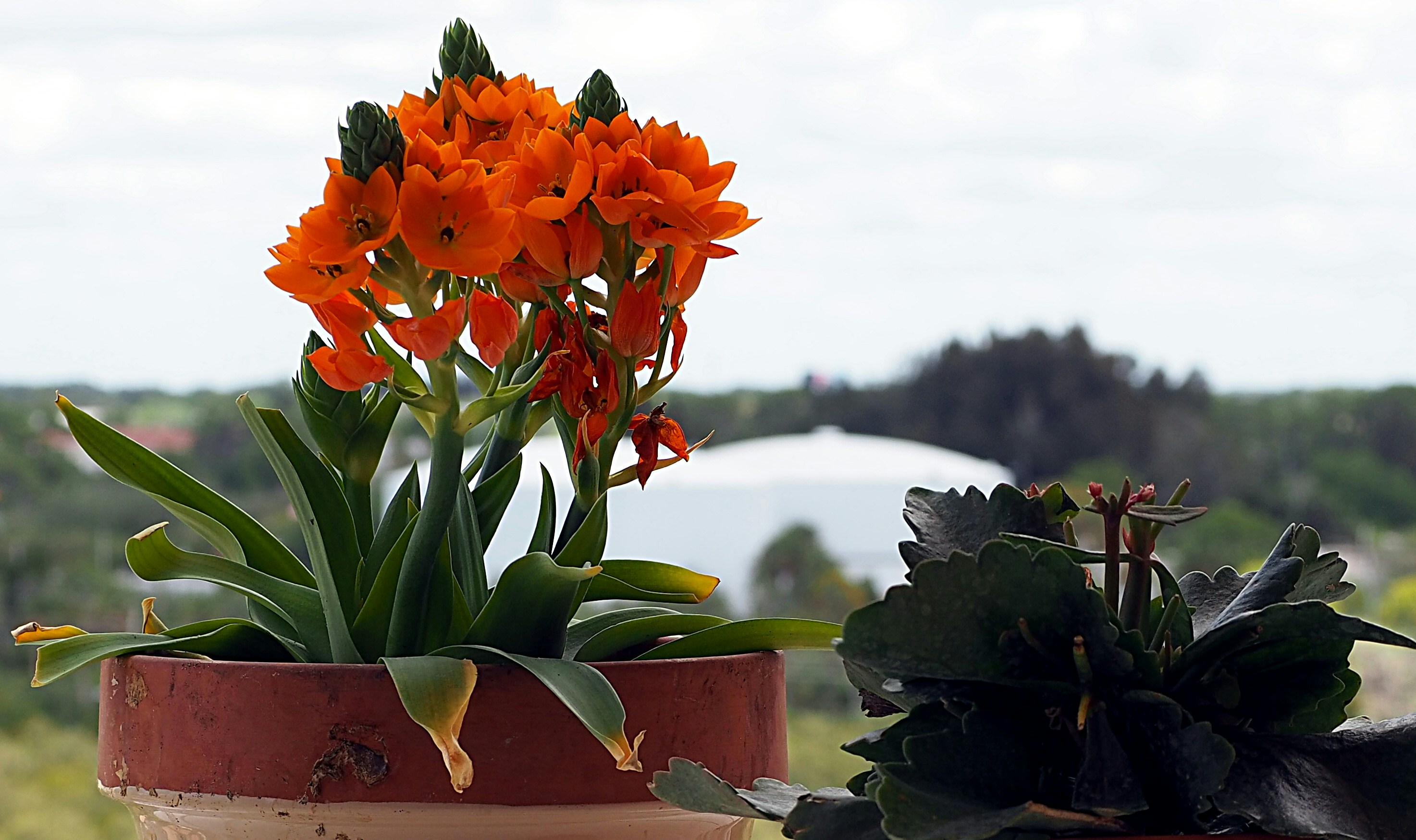 Free Unsplash photo from Patricia Collins