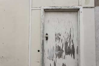 A handyman painting a fresh white coat on a front door.