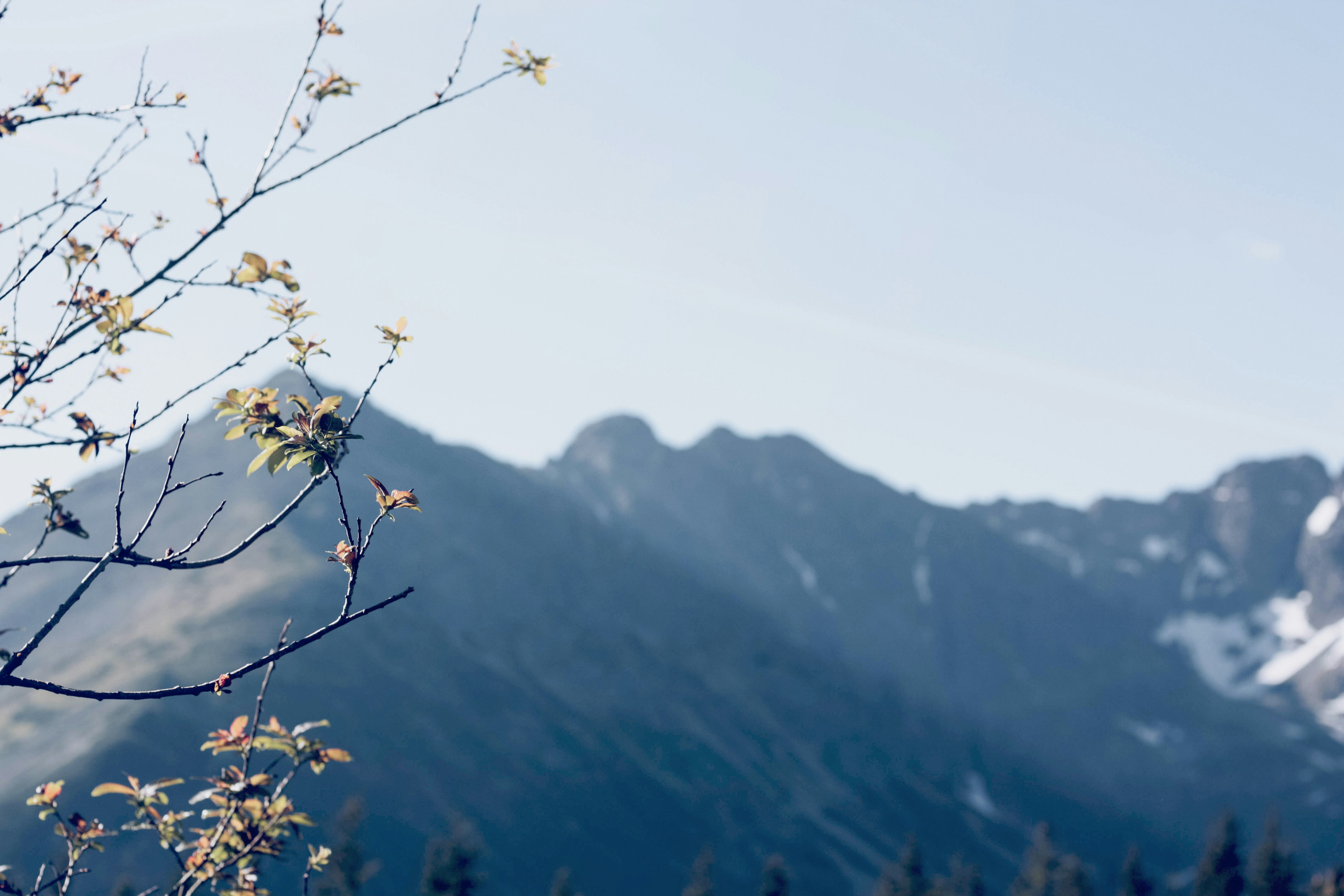 Free Unsplash photo from Helena Stretovych