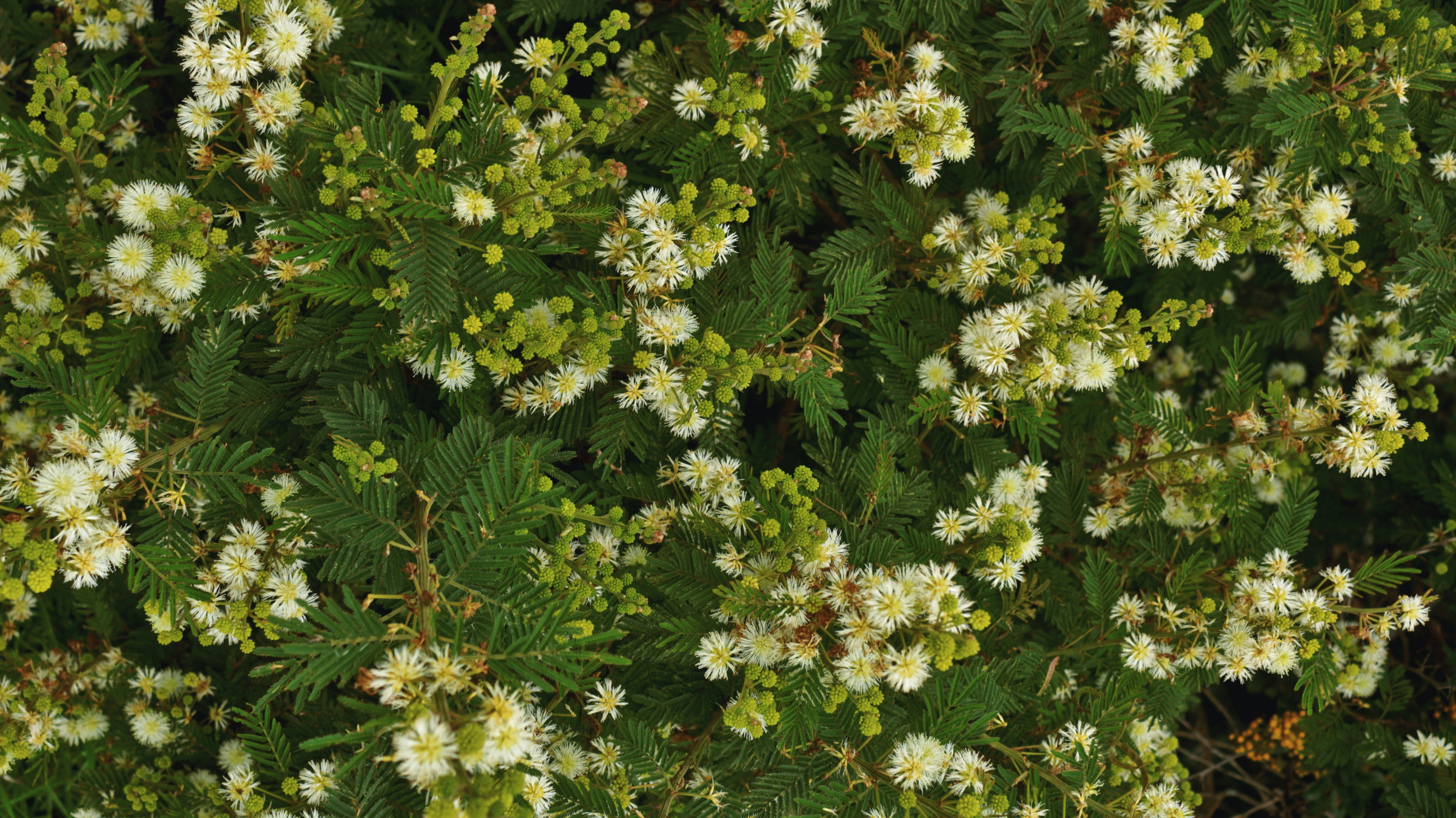 Free Unsplash photo from Alejandra Coral