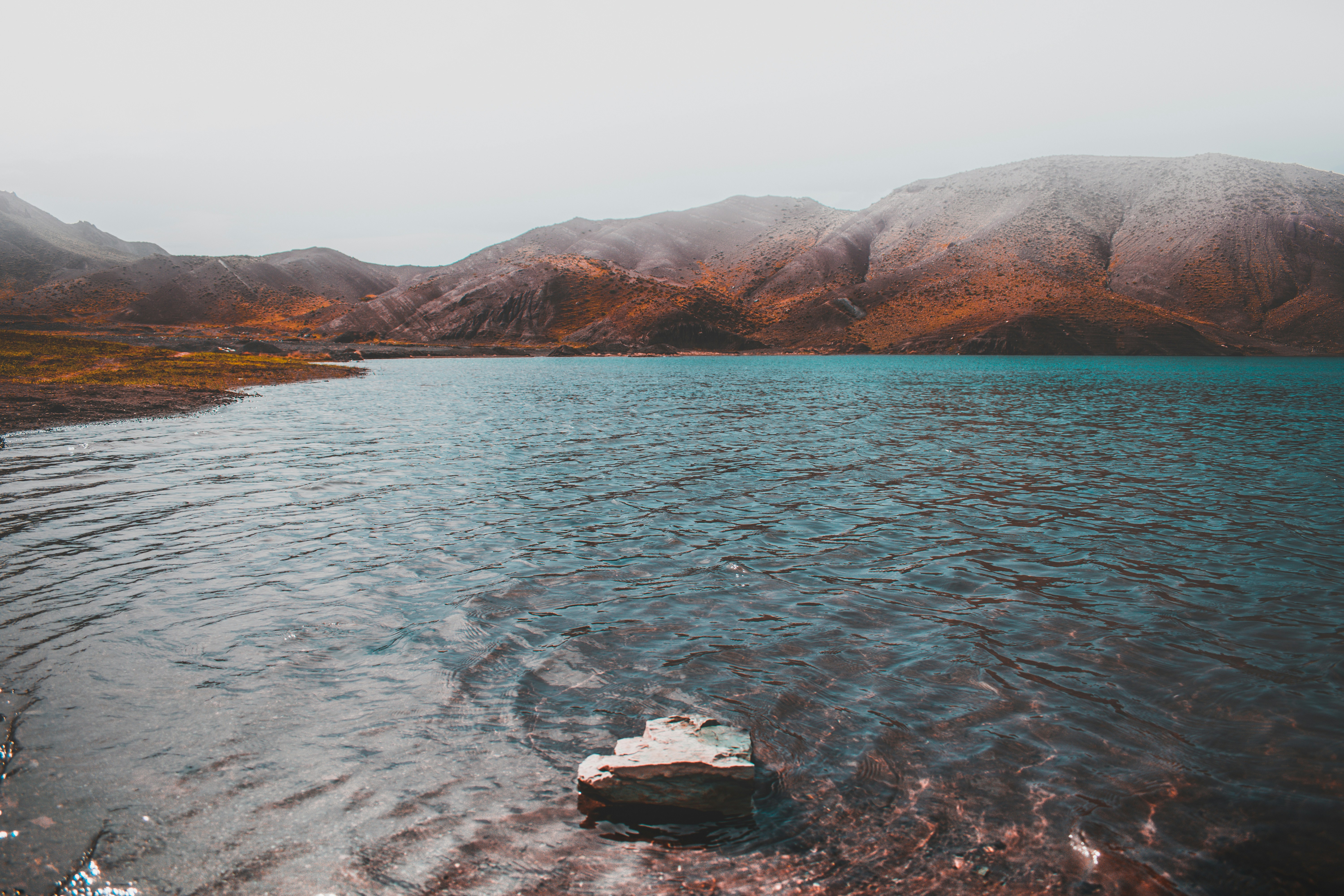 Free Unsplash photo from mohammad alizade