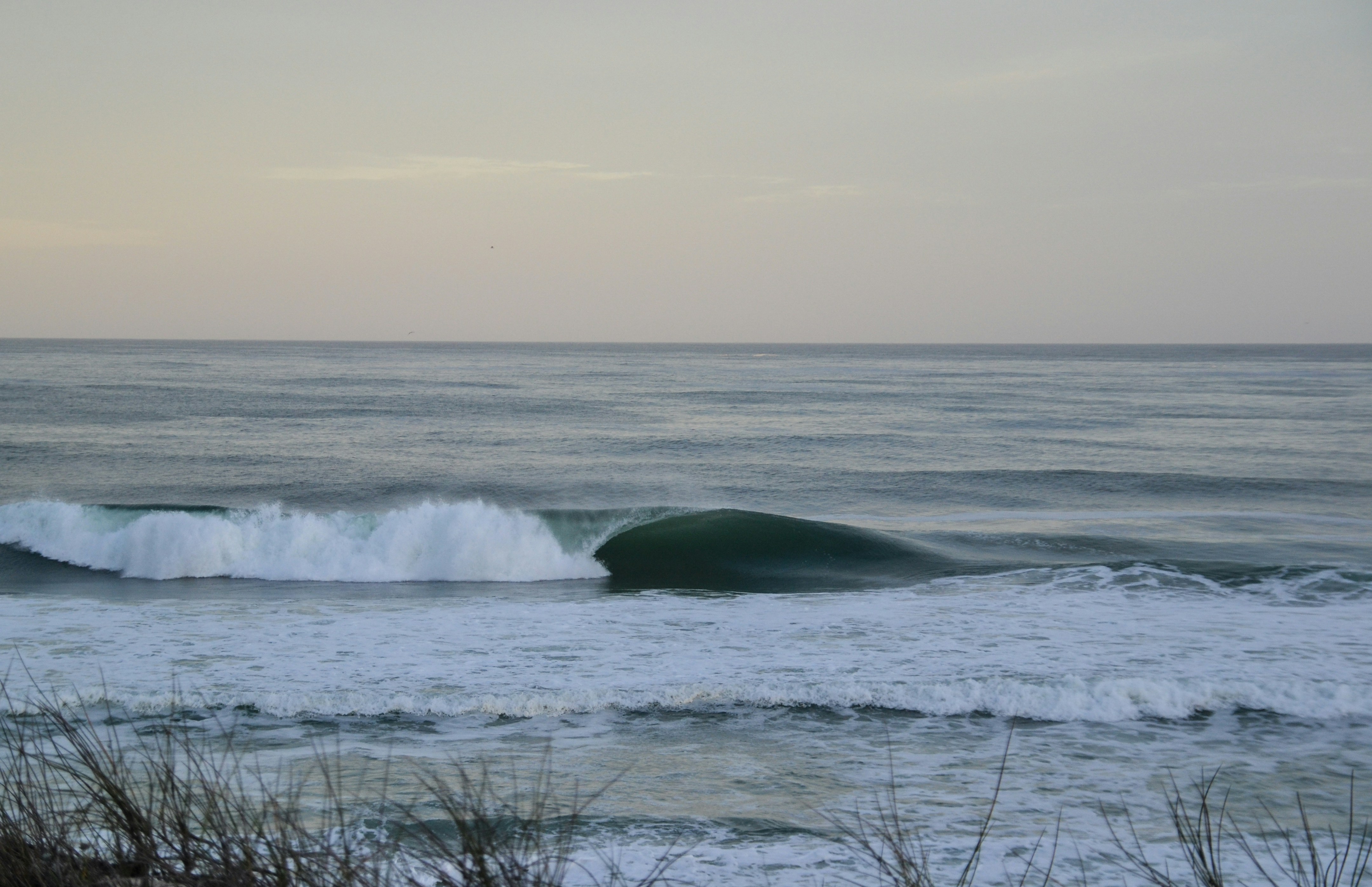 Free Unsplash photo from Daniel Raubenheimer