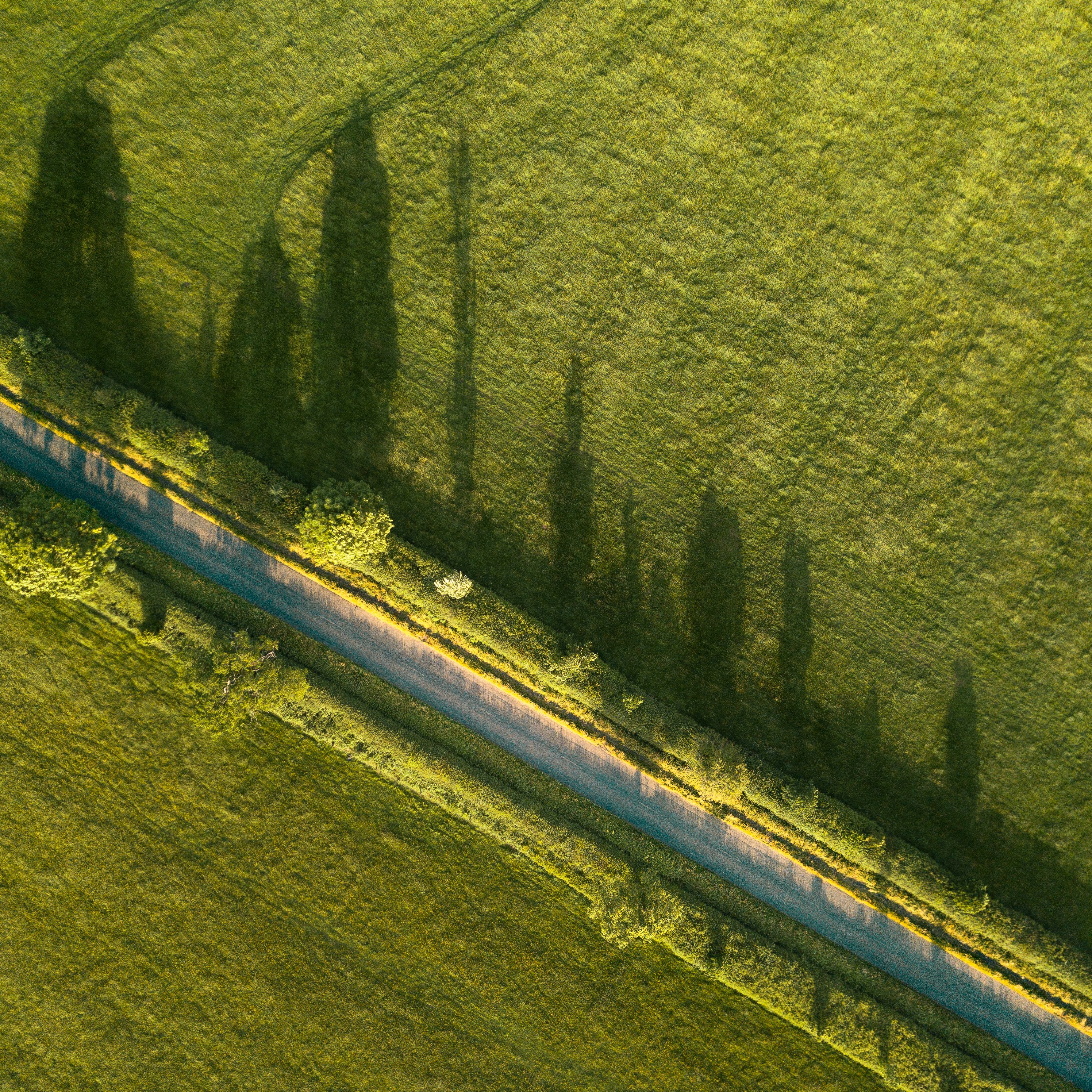 aerial photography of road near grass field