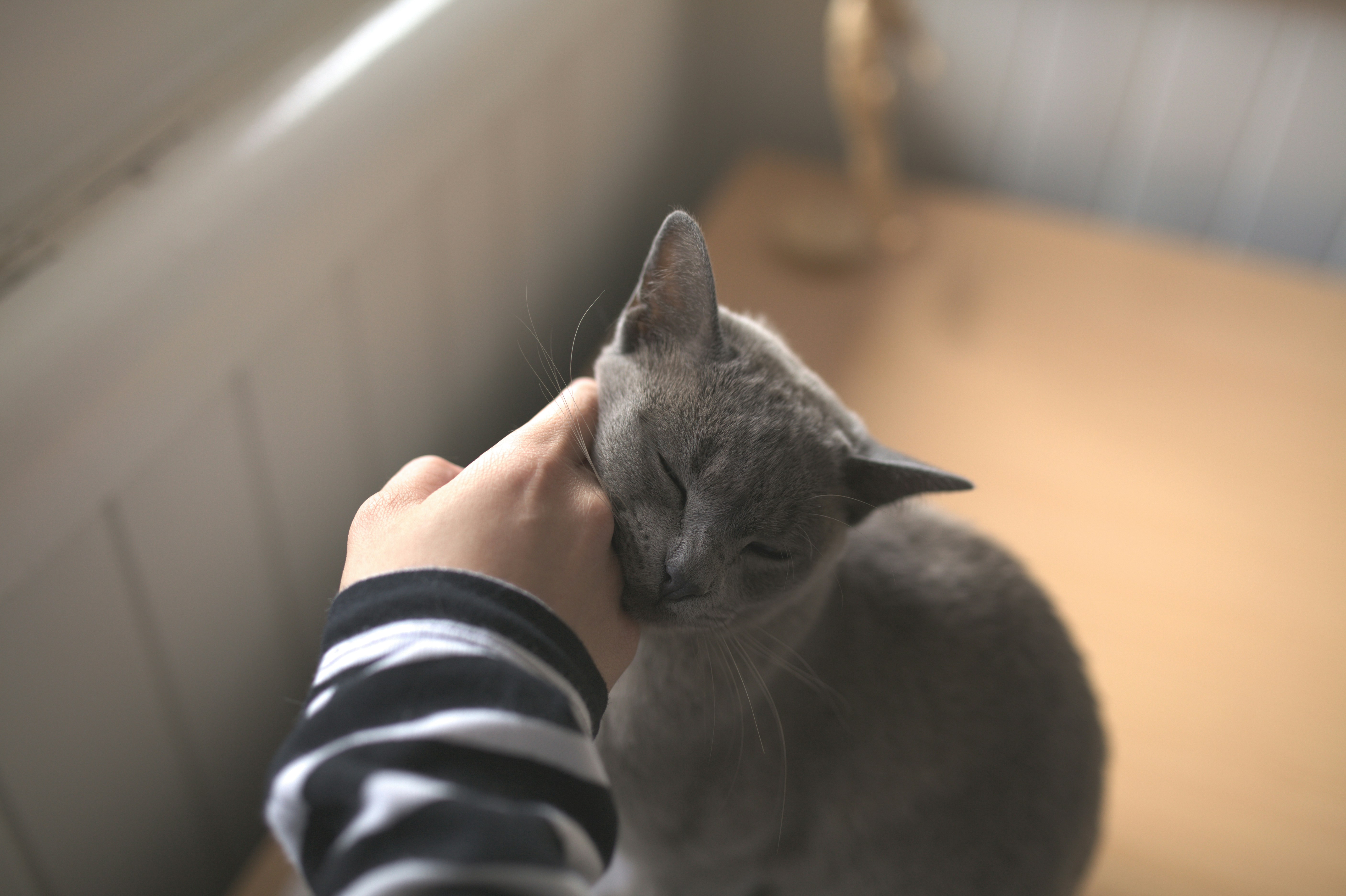 Free Unsplash photo from Alexander Possingham