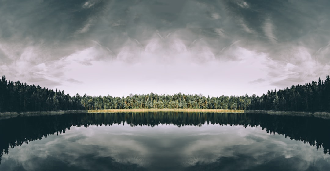 A still lake surrounded by coniferous trees in Estonia on a cloudy day