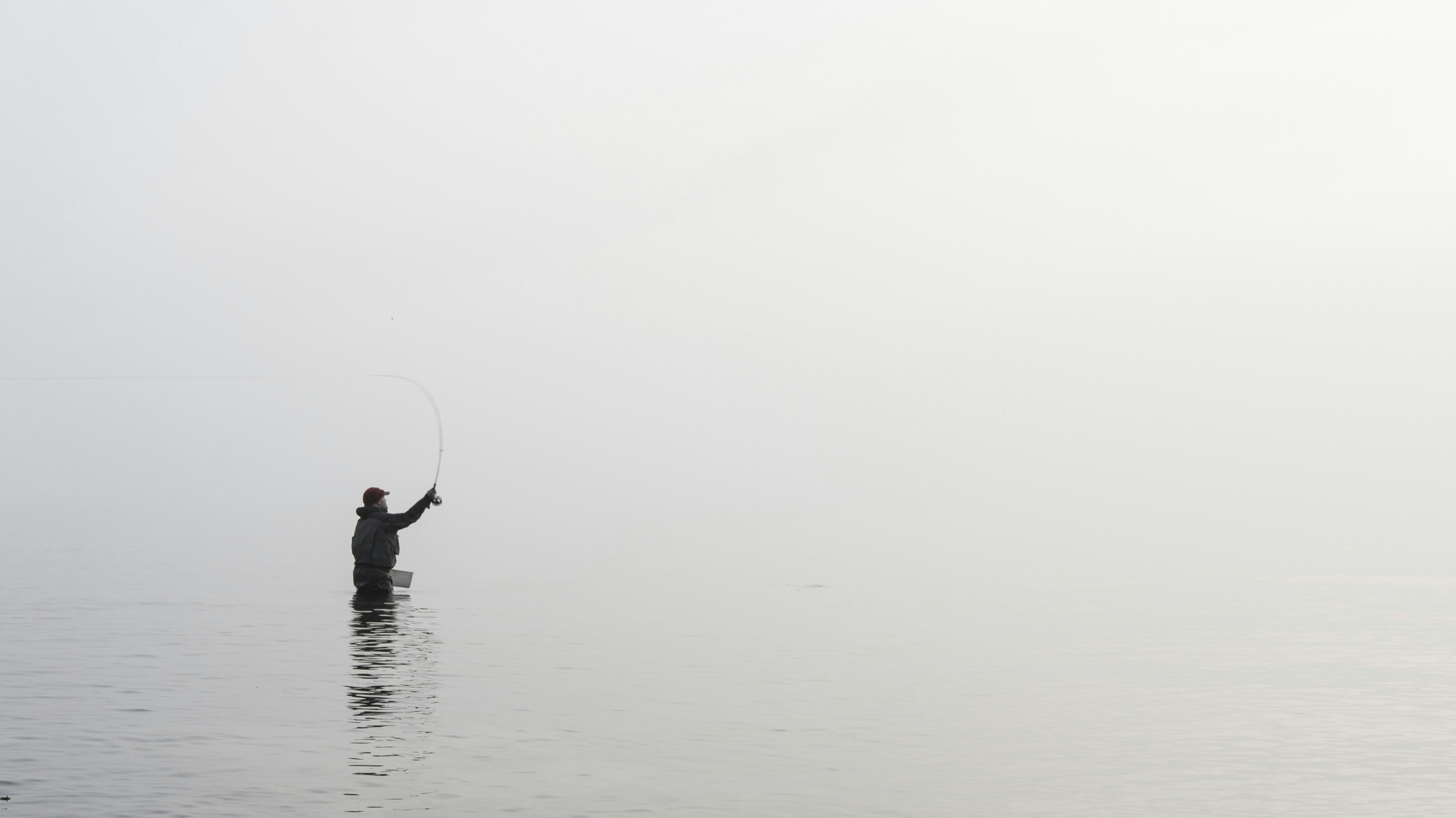 Free Unsplash photo from Alex Olteanu