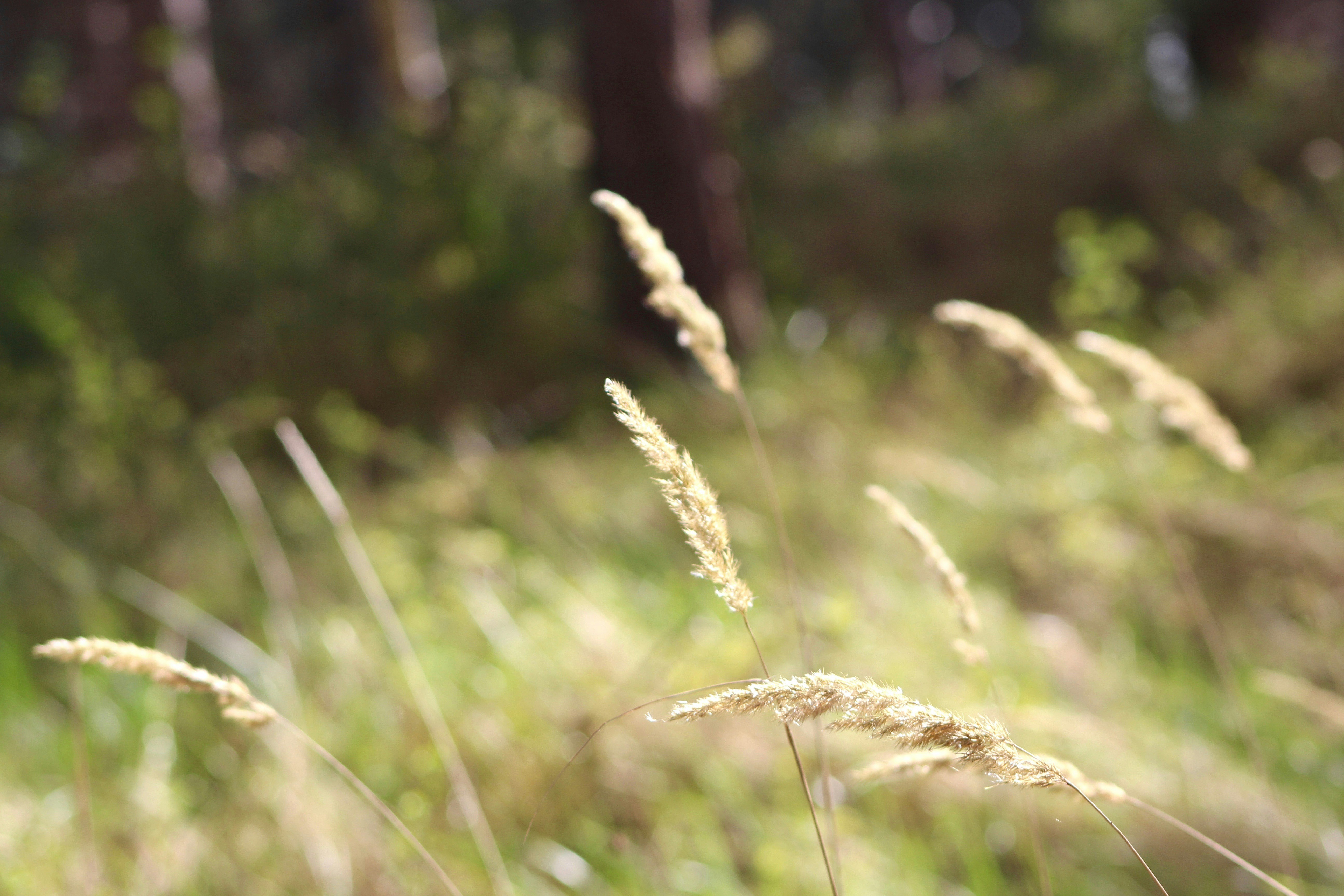 Free Unsplash photo from Manon Buizert