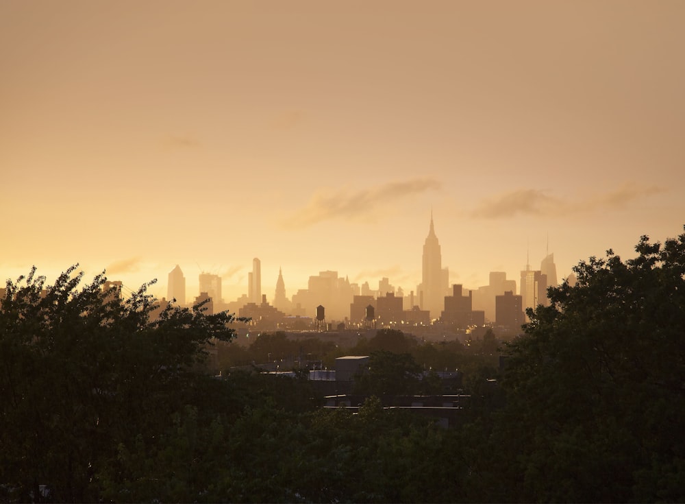 city skyline under white sky during daytime