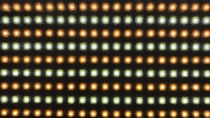 LED Modules
