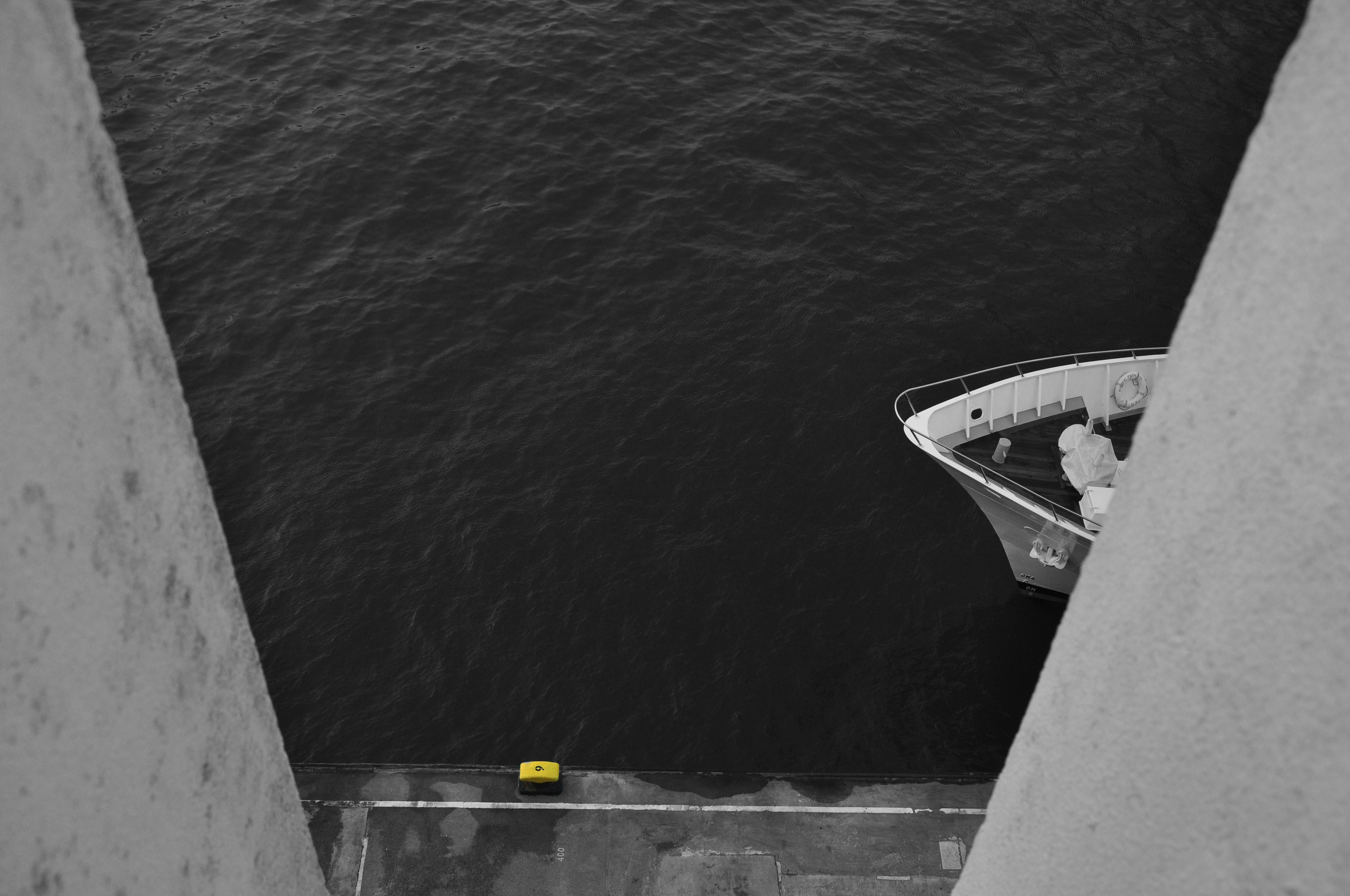 Free Unsplash photo from Rex kwan