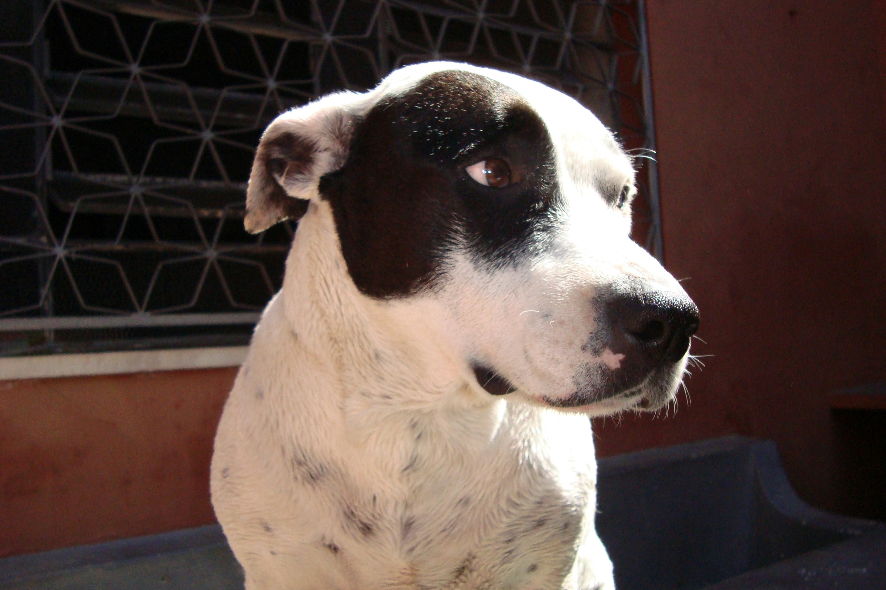 Free Unsplash photo from Renato Sakamoto